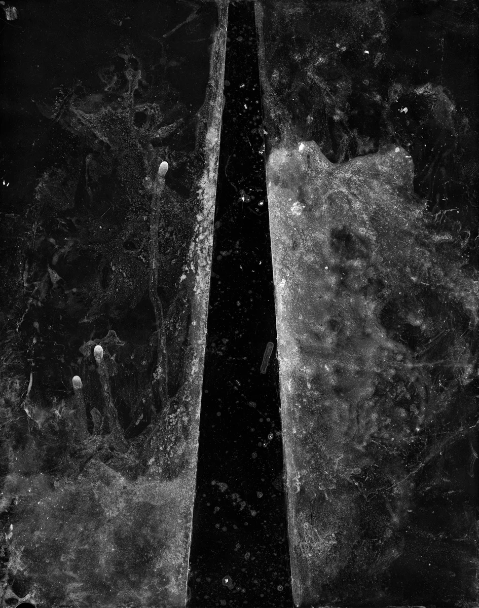 Warden_No51_Concrete.jpg