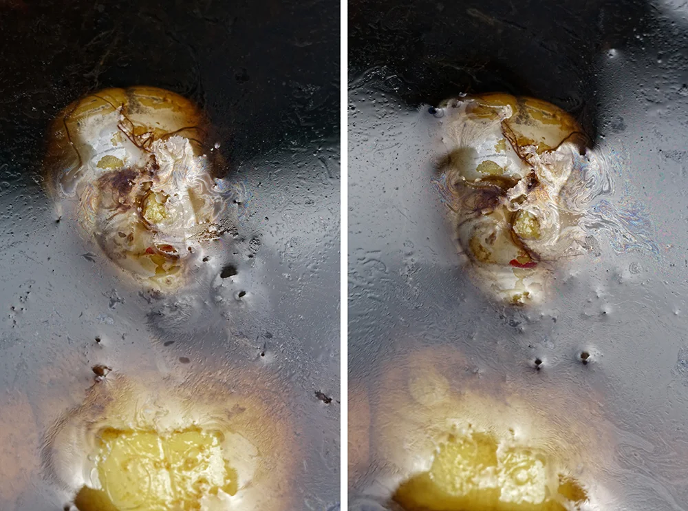 18_Keiser_Susan_The River Is Moving Diptych No.2_Archival pigment print.jpg