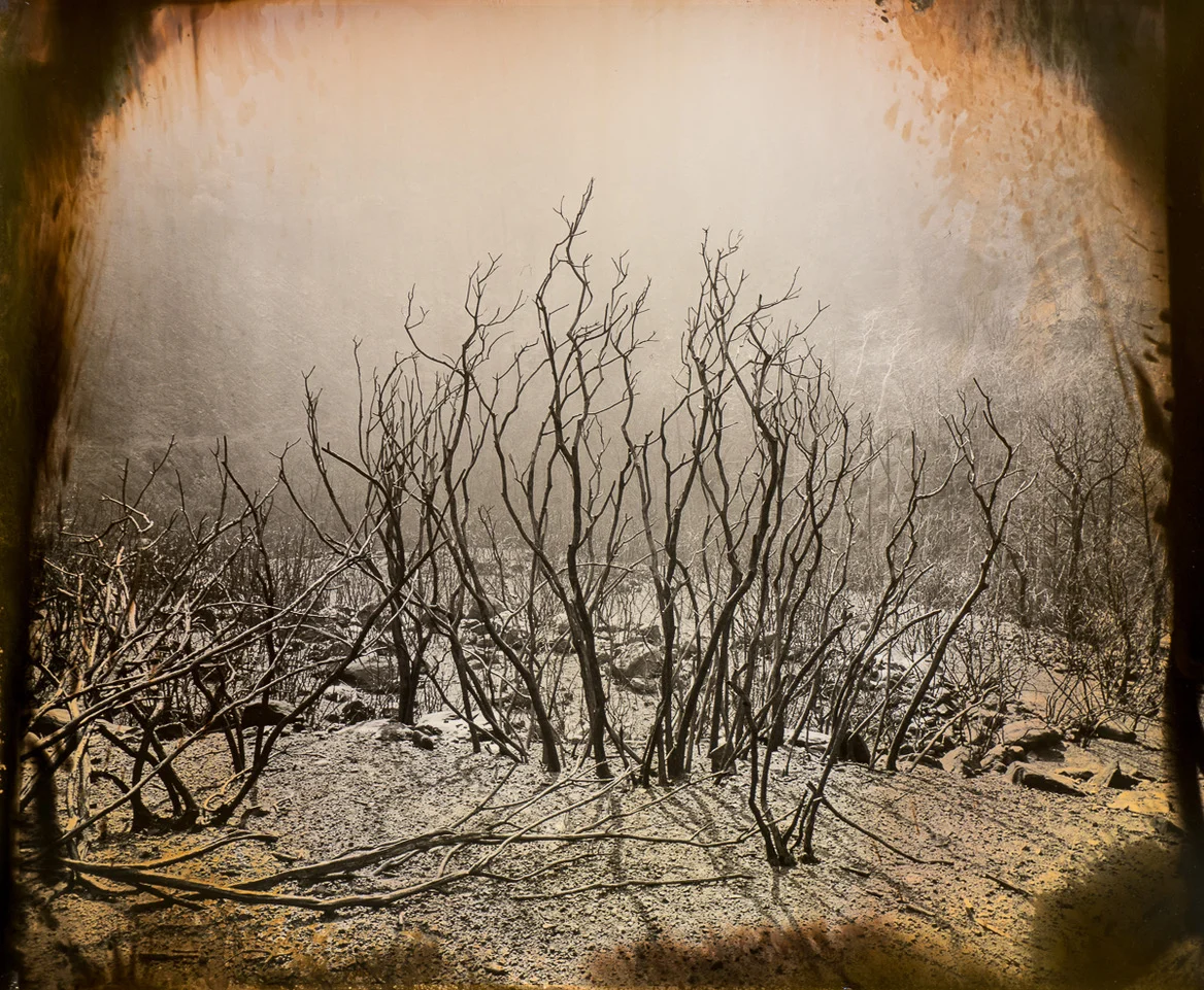 Poignant Portfolio no. 6:  Luther Gerlach