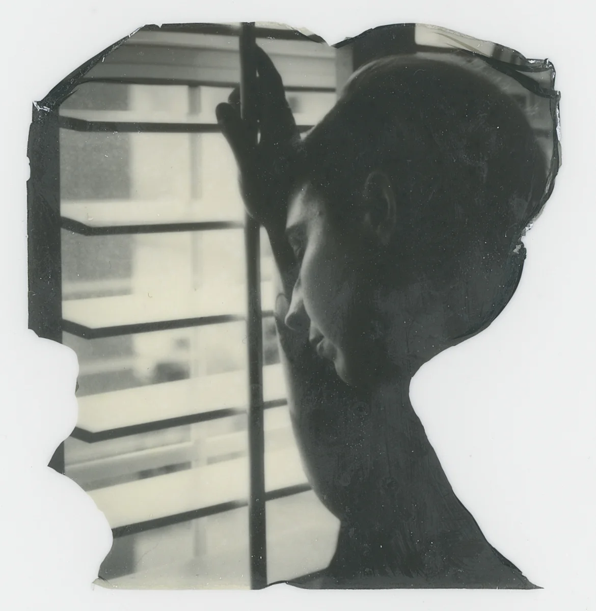 Ronni Mae Knepp interview