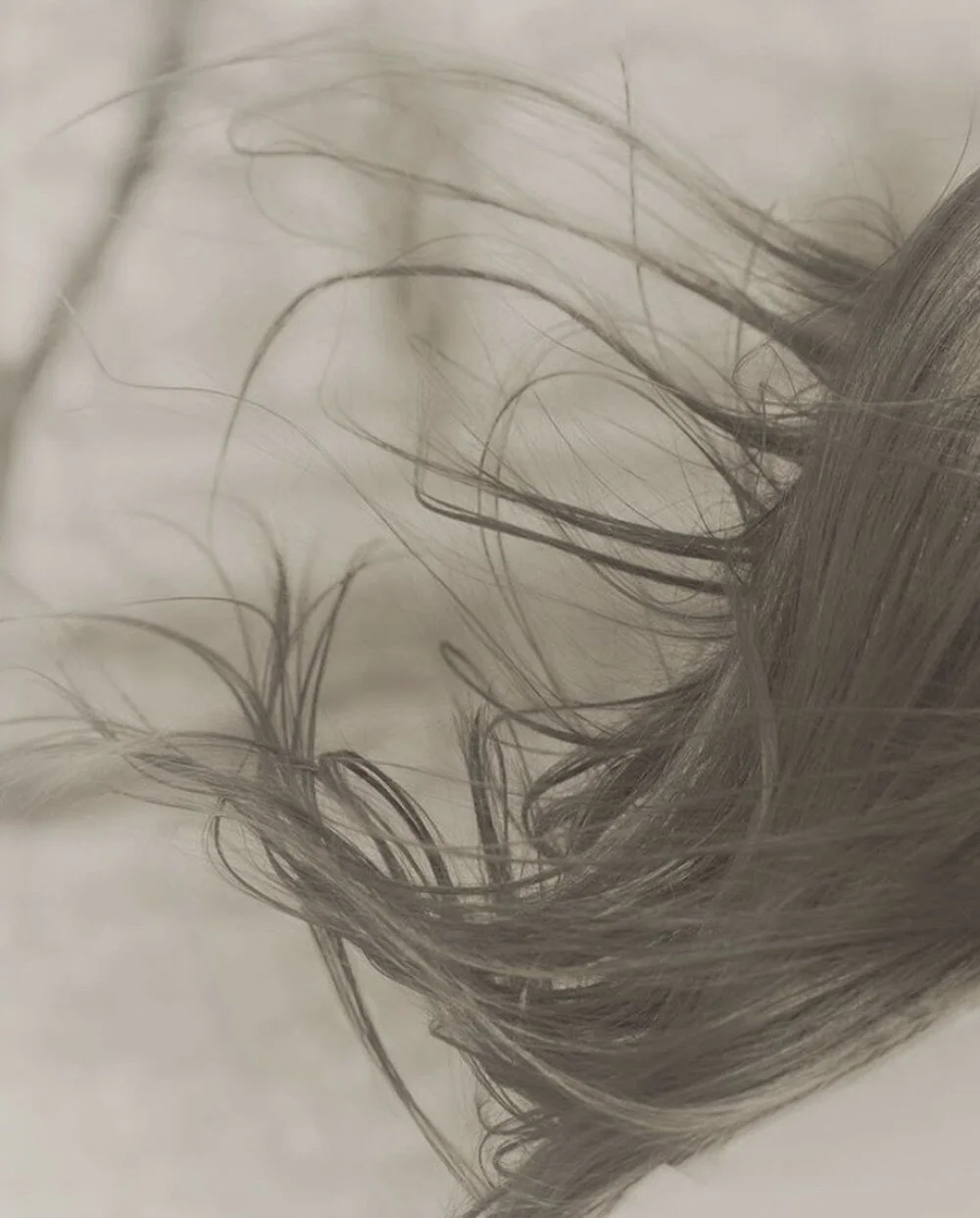 Poignant Portfolio no. 20: Sara Silks