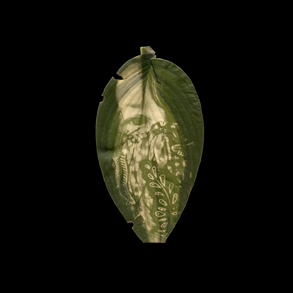 Poignant Portfolio no 31: Megan Bent