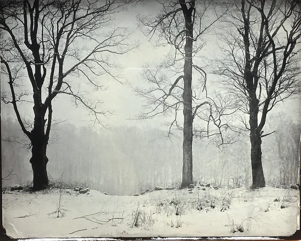 Poignant Pics no. 54:  On Luther Gerlach’s “Last Snow #1”