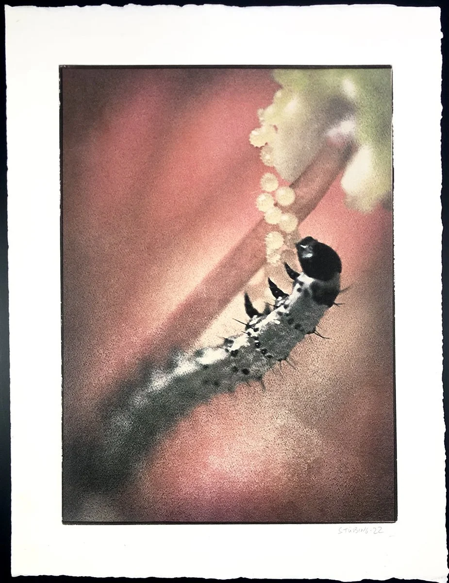 Traverse no. 8: Gerardo Stübing
