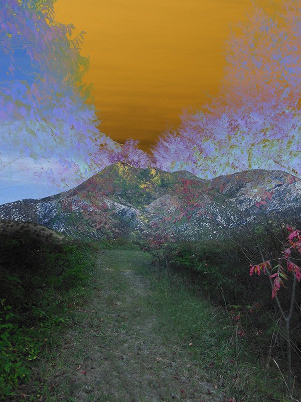 Poignant Pics no. 92: On Ellen Jantzen’s "Meadow View"