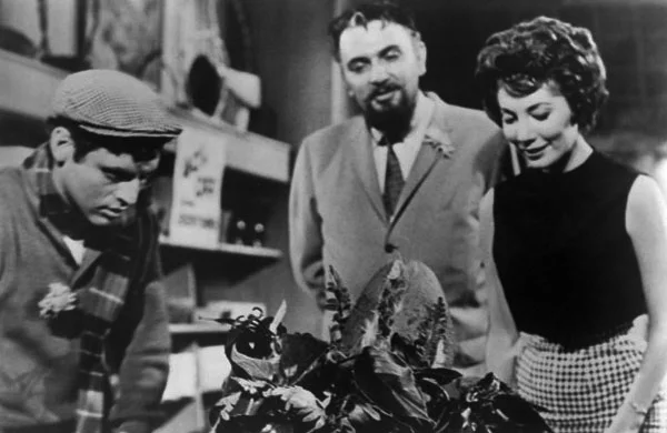 The-Little-Shop-of-Horrors-01.jpg