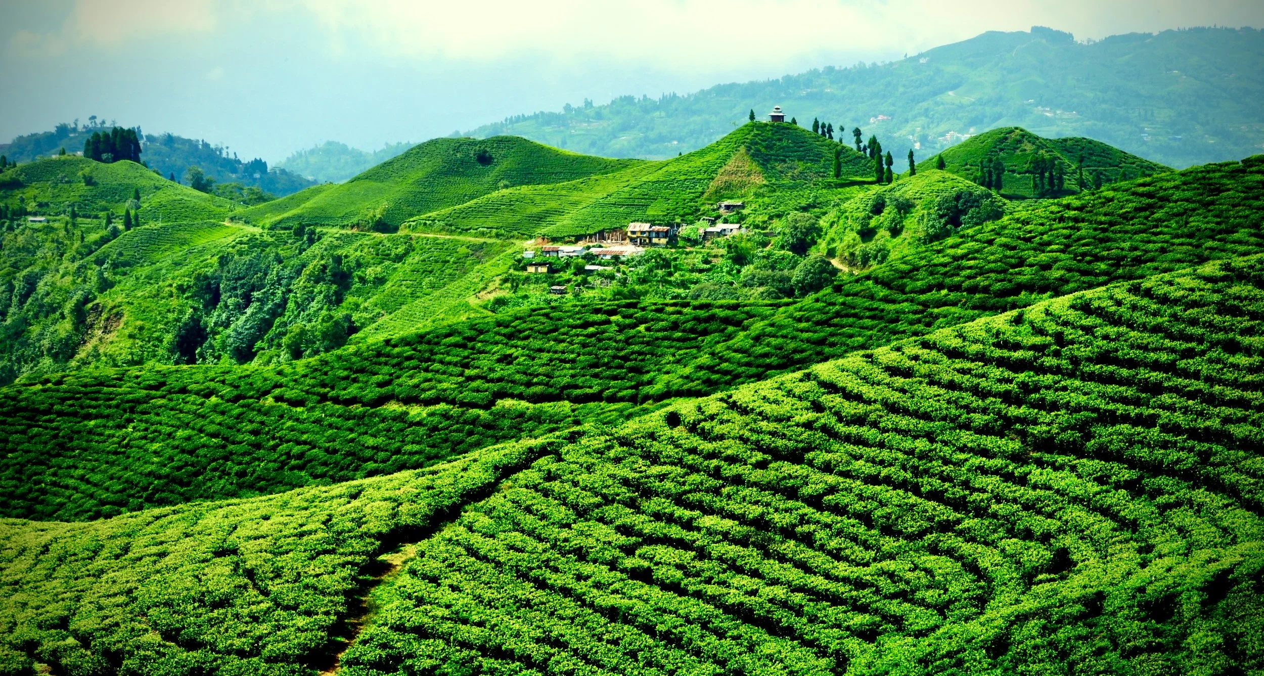 Nepal-Hill-station-tour-6 2.jpg
