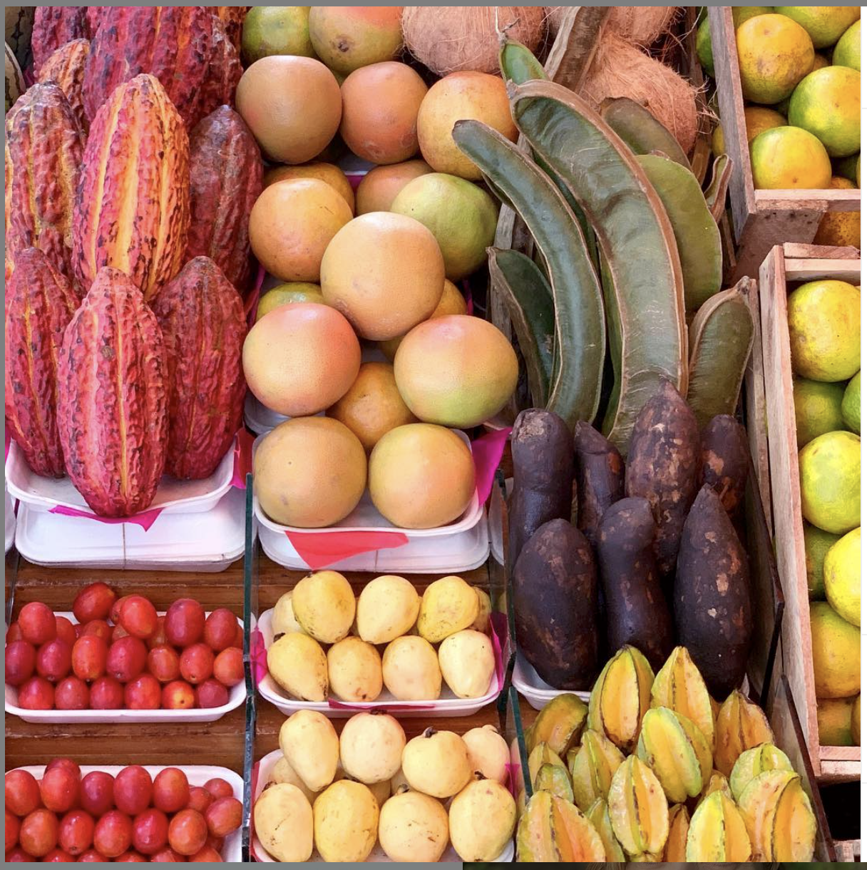 how travel can give your kids a wider palette for food and spice by Stacie Billis on DIJFY podcast.png