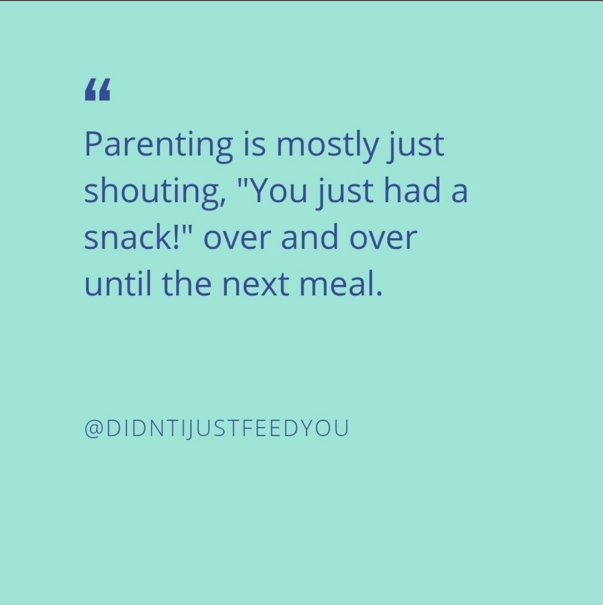 @didntijustfeedyou on Instagram - real food advice from real parents