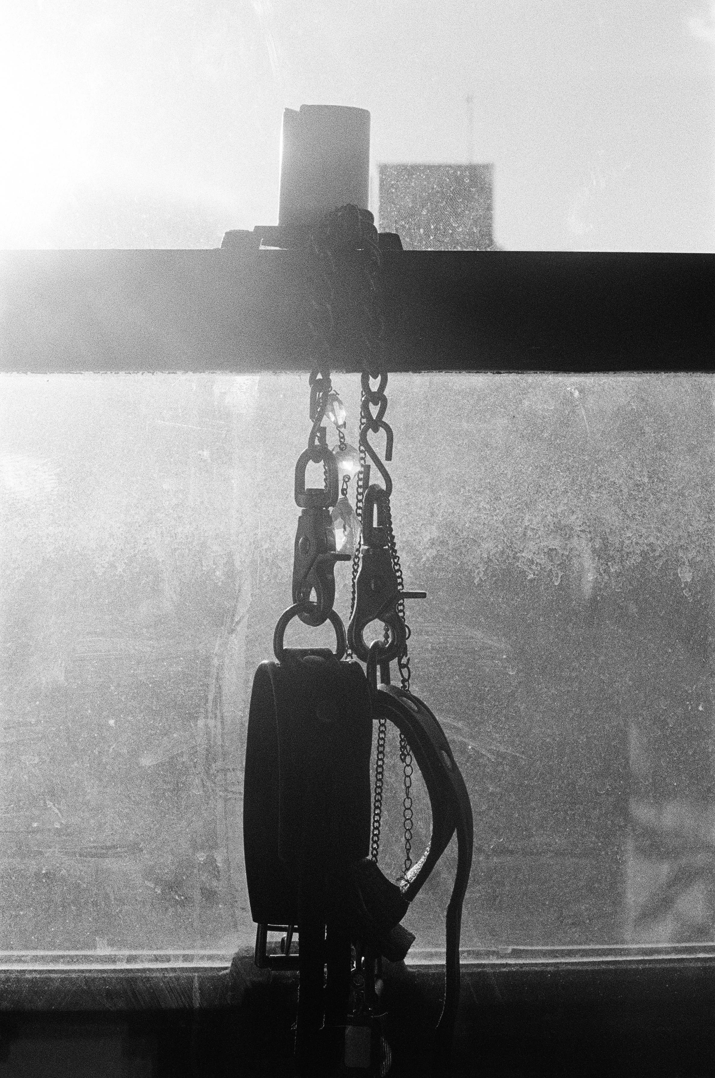 000058670015Carlos homemono1.jpg