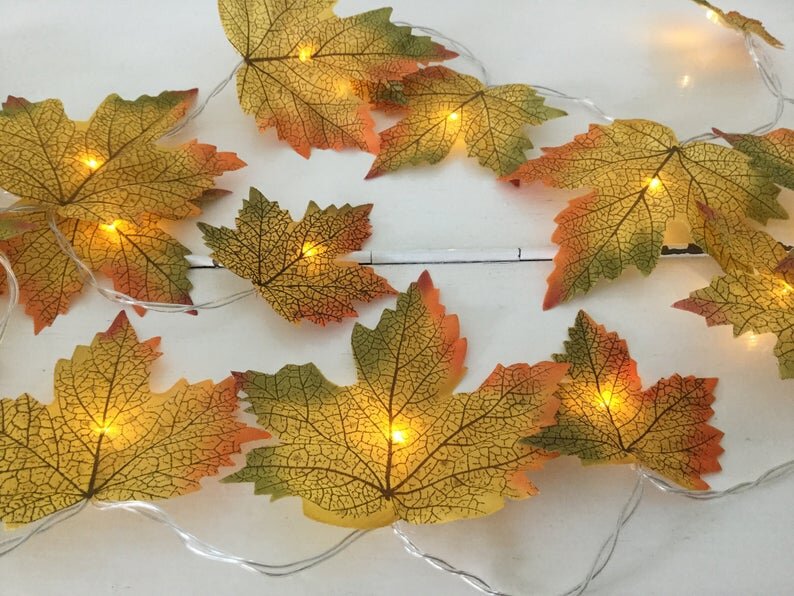 AutumnFairyLights.jpg