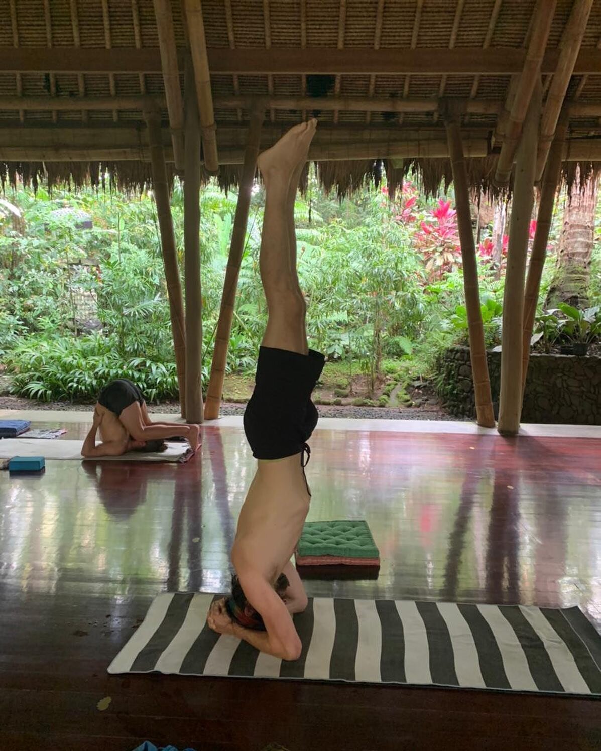 Headstand 

#brainjuice 😆

Known as &ldquo;the king&rdquo; of yoga poses, has many benefits for me, by reversing gravity, being upside down for a period of time allows the blood to enter the brains cells which enhances clarity of thought, concentrat