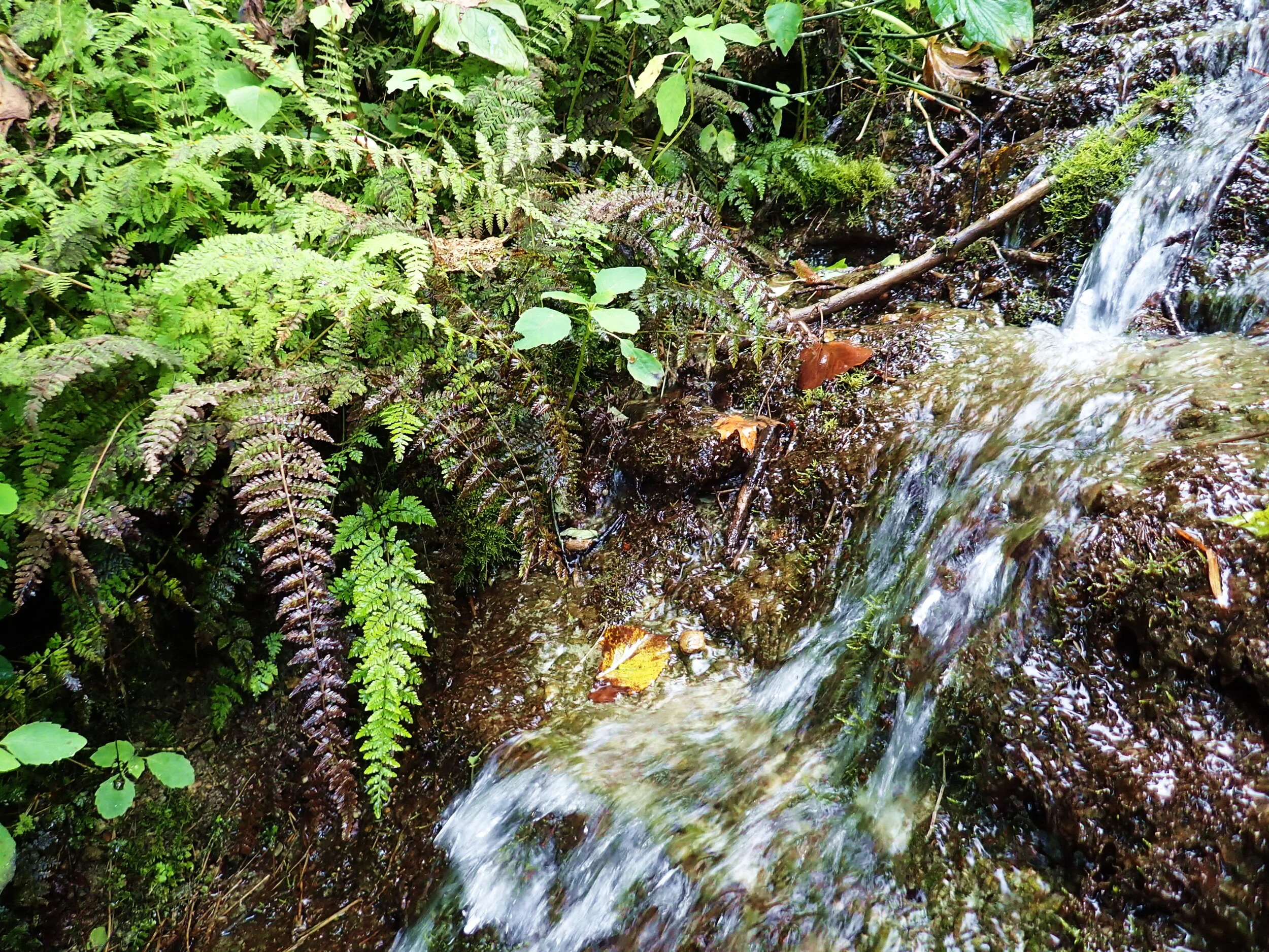 Lower St. Croix Watershed Plan Workshop - Stillwater