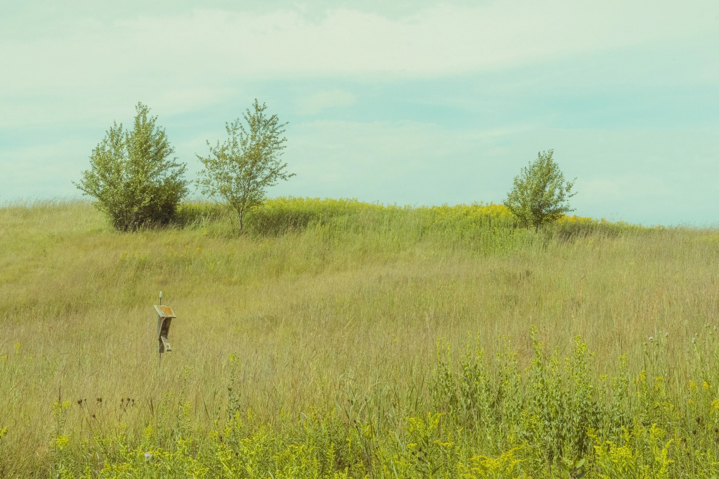Glacial Valley Park walking tour