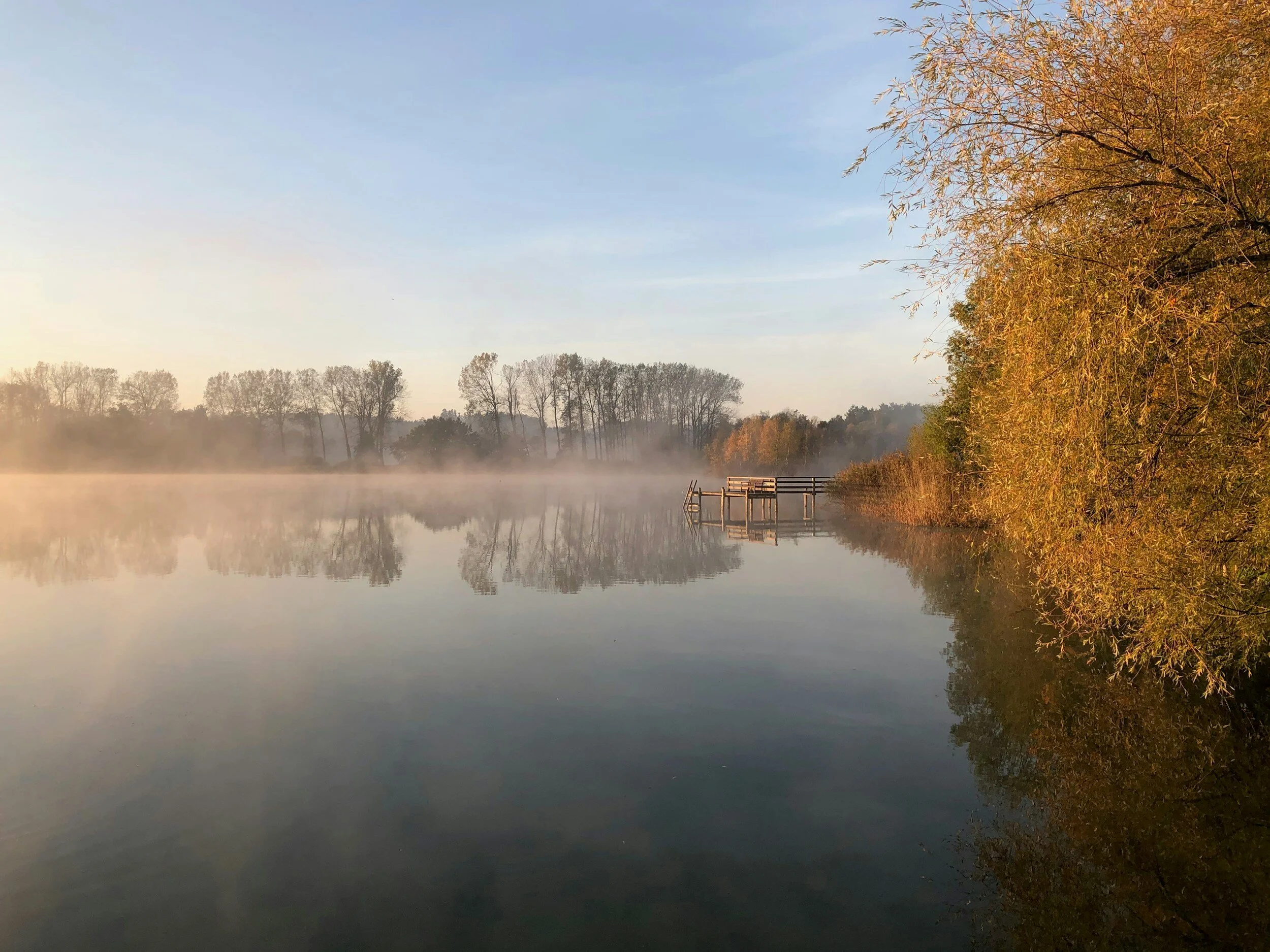 Buying Lakeshore Property 101