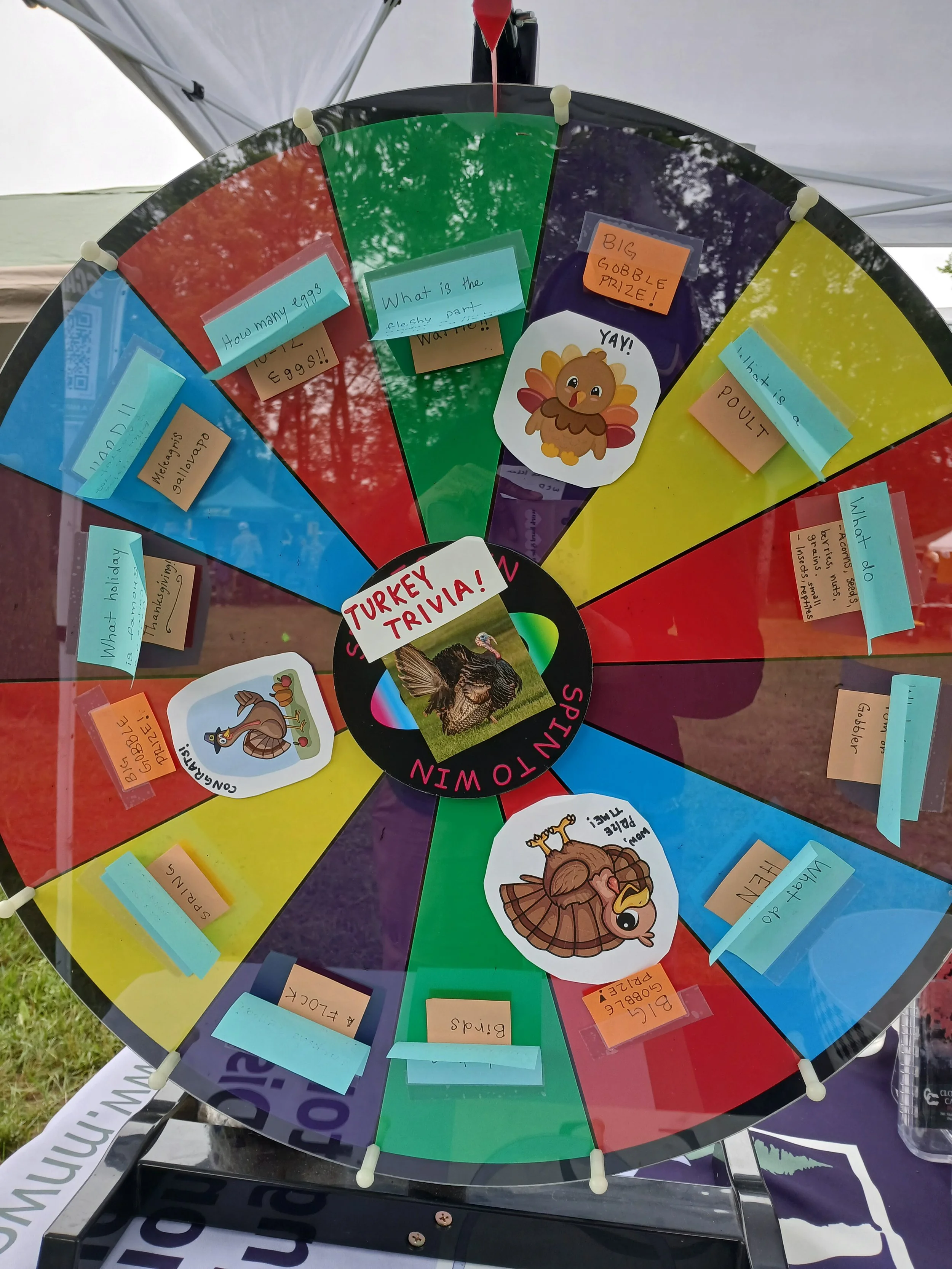 Ducks Unlimited Twin Cities Area Greenwing Day (Stillwater)