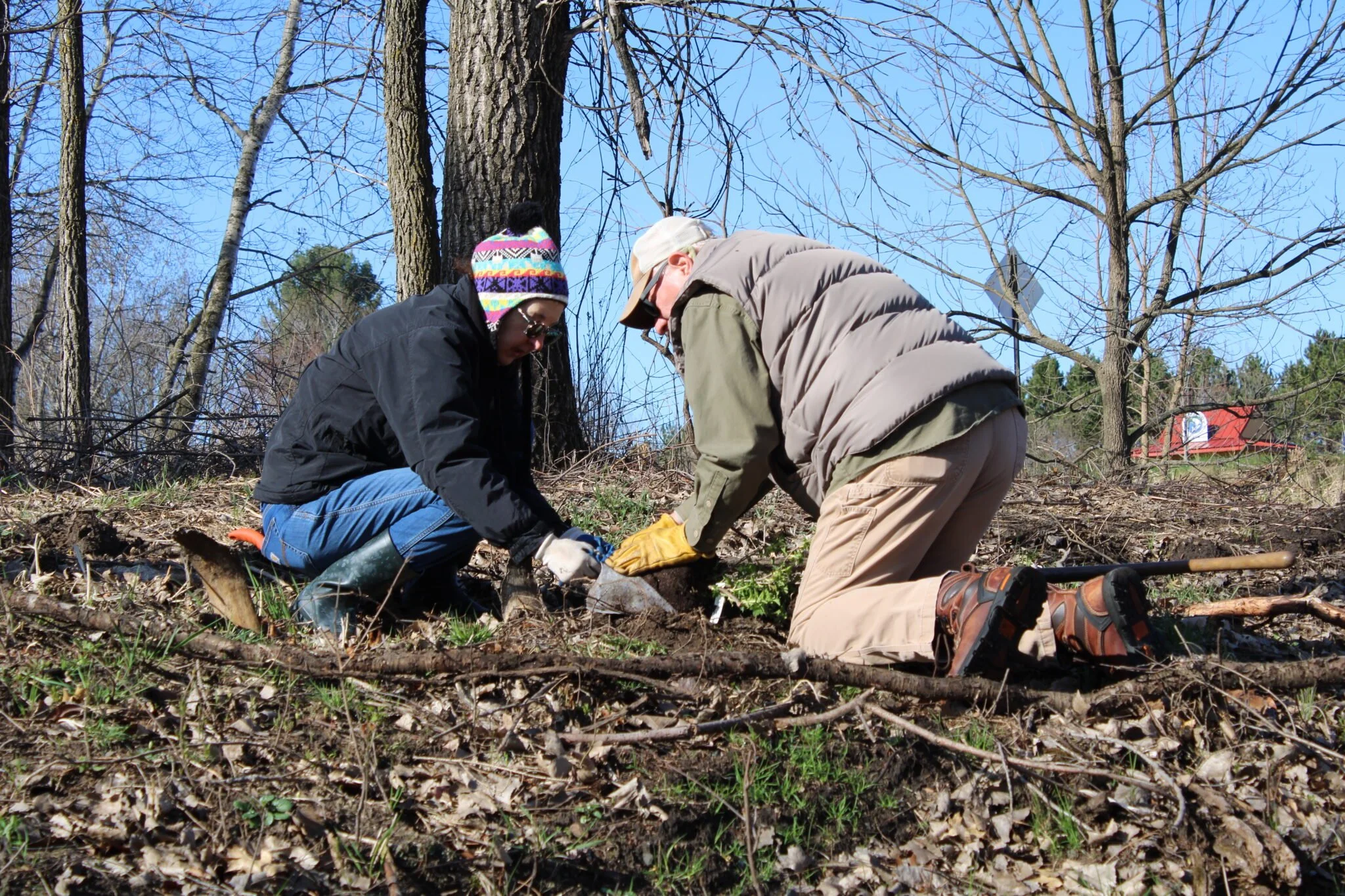 Volunteer Tree/Shrub Planting (Stillwater)