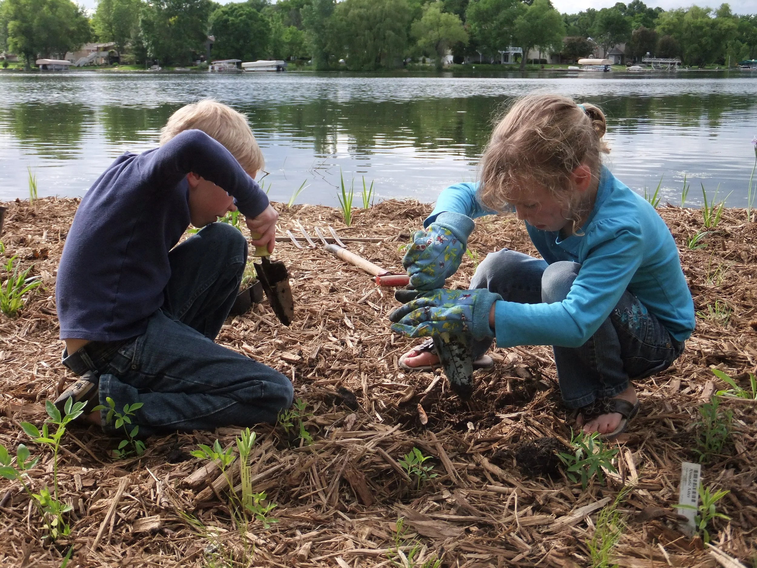 Square Lake volunteer planting (May Twp)