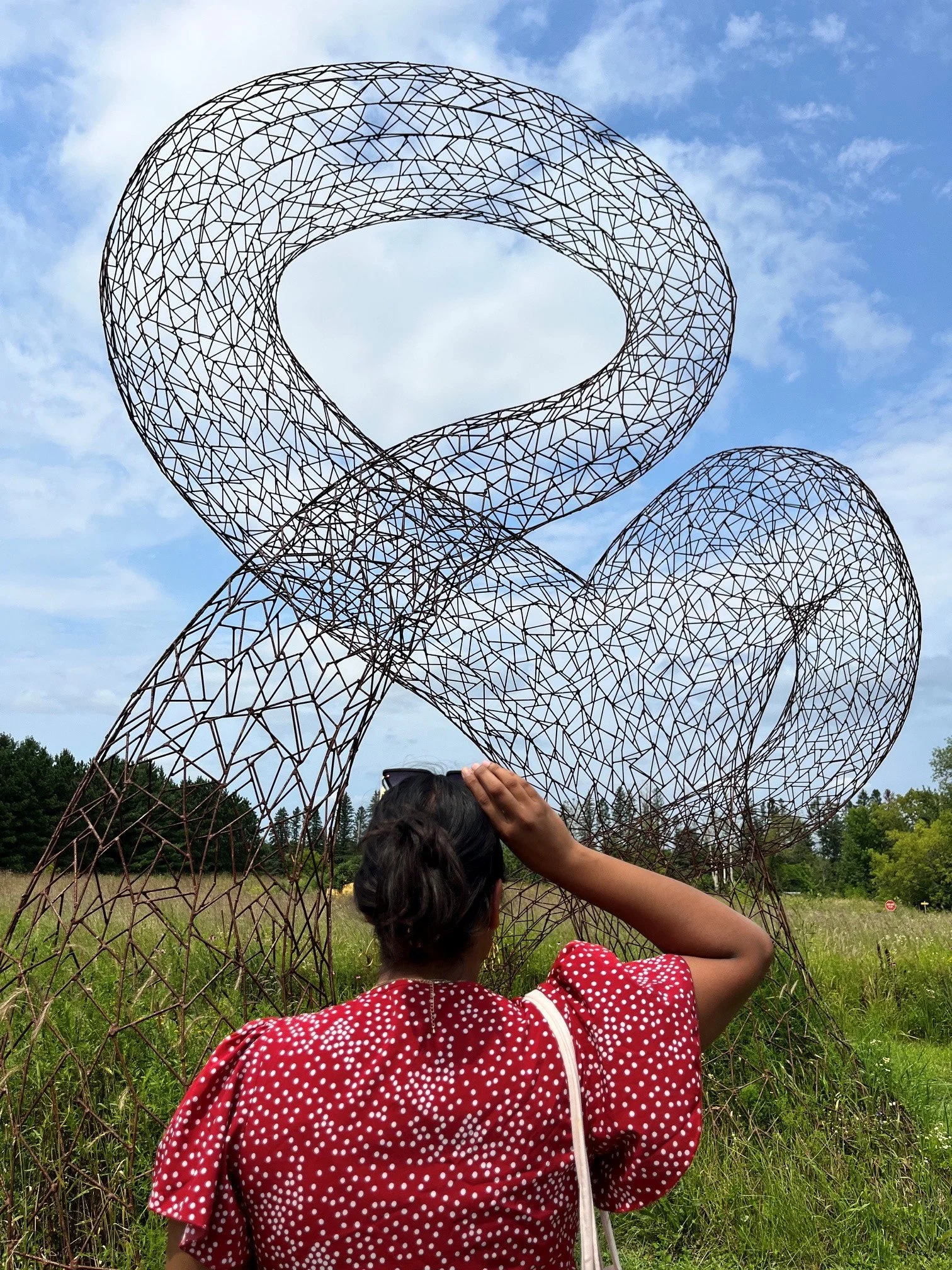 Native garden talk & walk at Franconia Sculpture Park