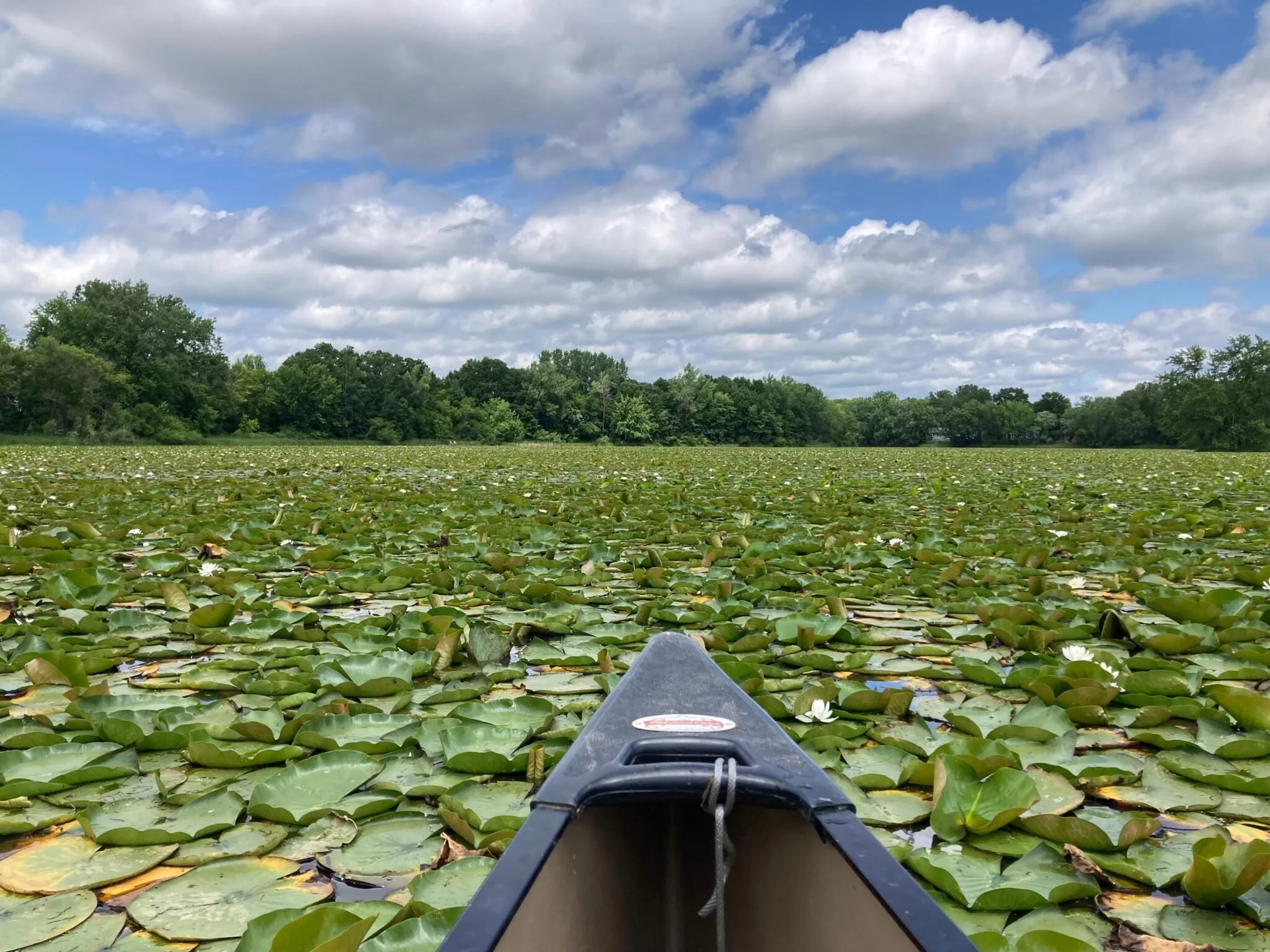 Still Water, Living Lake (Stillwater)
