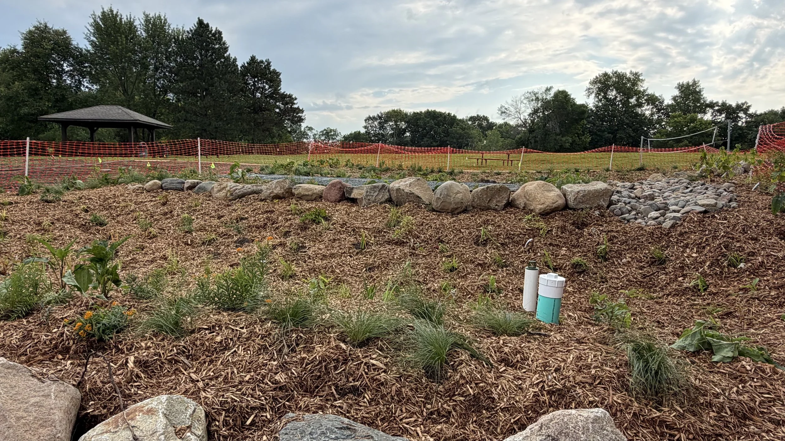 A new raingarden will filter pollutants out of runoff