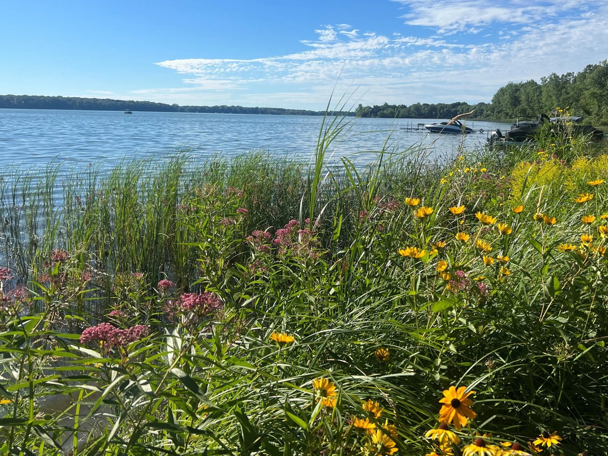 Shoreline Showcase: Creating vibrant and functional shoreline buffers