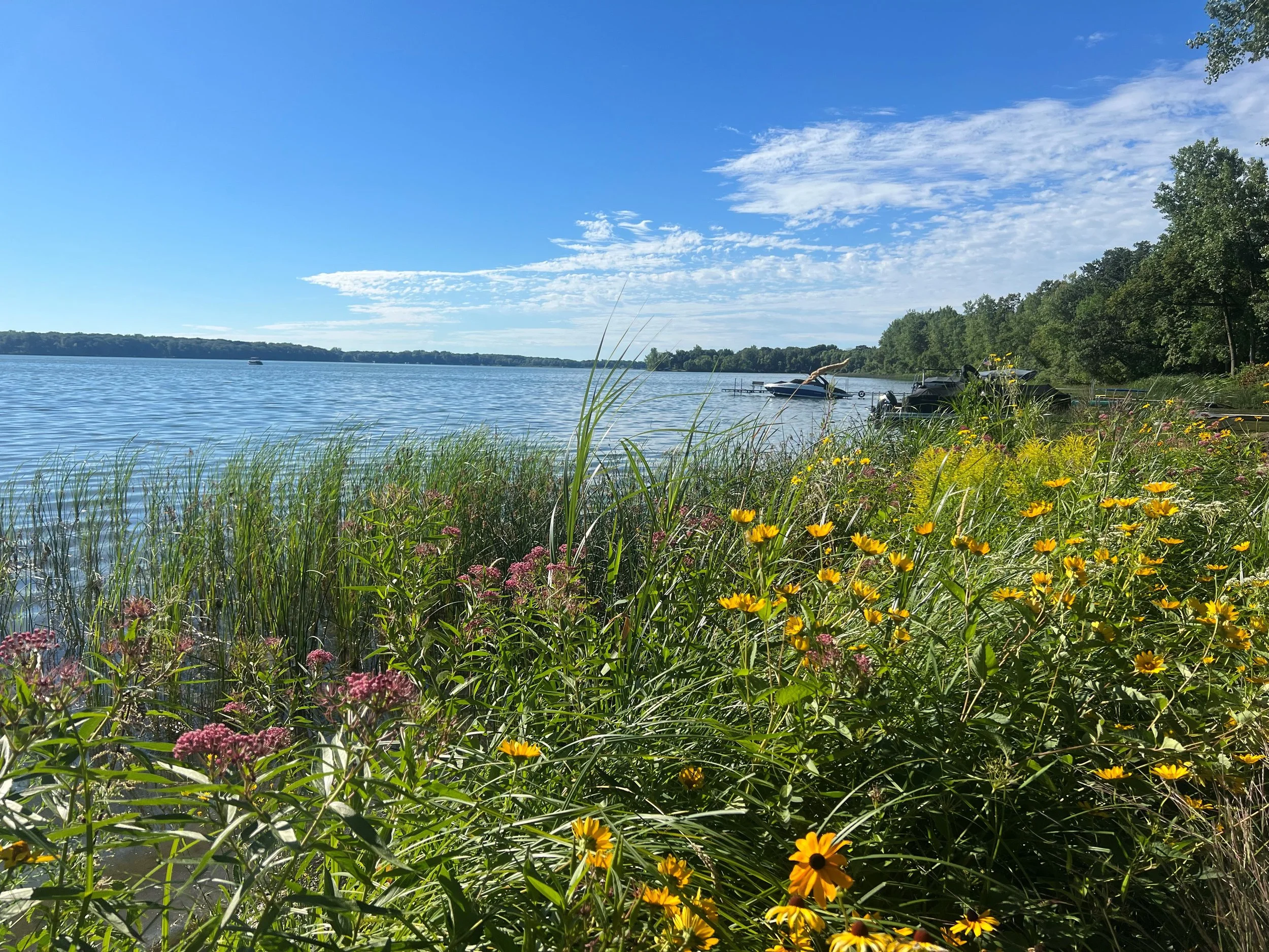 Native Plants for Wetlands and Shorelines