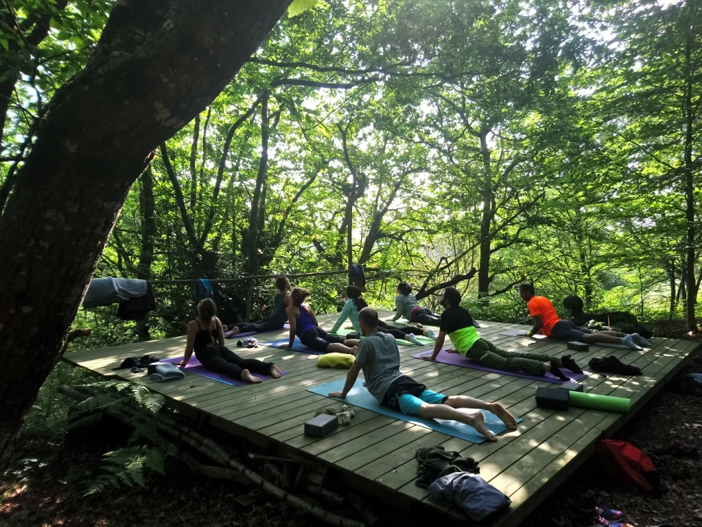 Disconnect to Reconnect: International Wellness Retreat