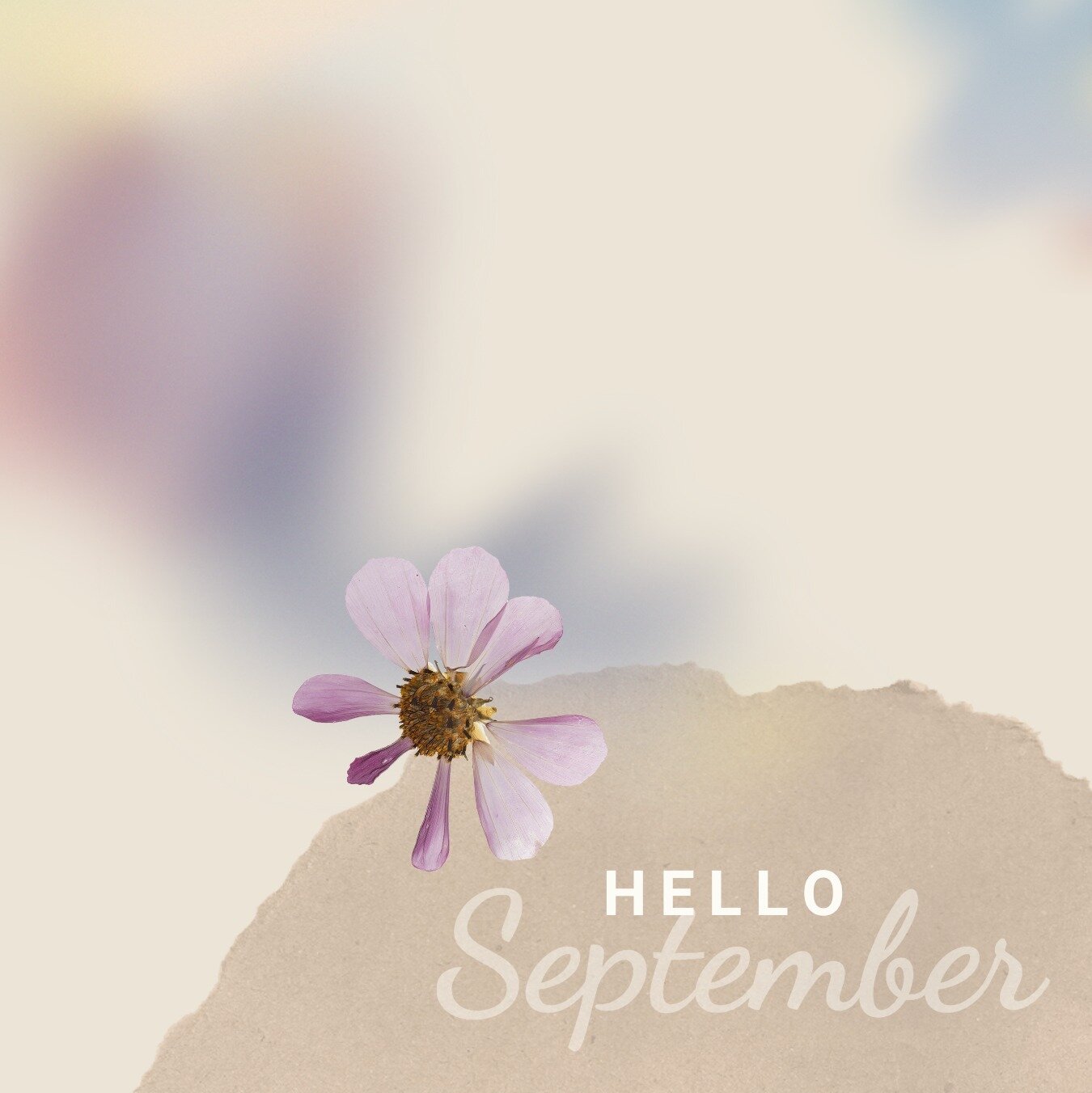 Another summer ending and a new autumn beginning &ndash; September brings with it the reminder that change can be beautiful. 🌸🌼🍂🍁 
.⁠
.⁠
.⁠
#YagamagoWellness #ShiftYourMindset #SelfEvolution #GrowingWithYoga #GrowingWithMeditation #RetreatsInSpai