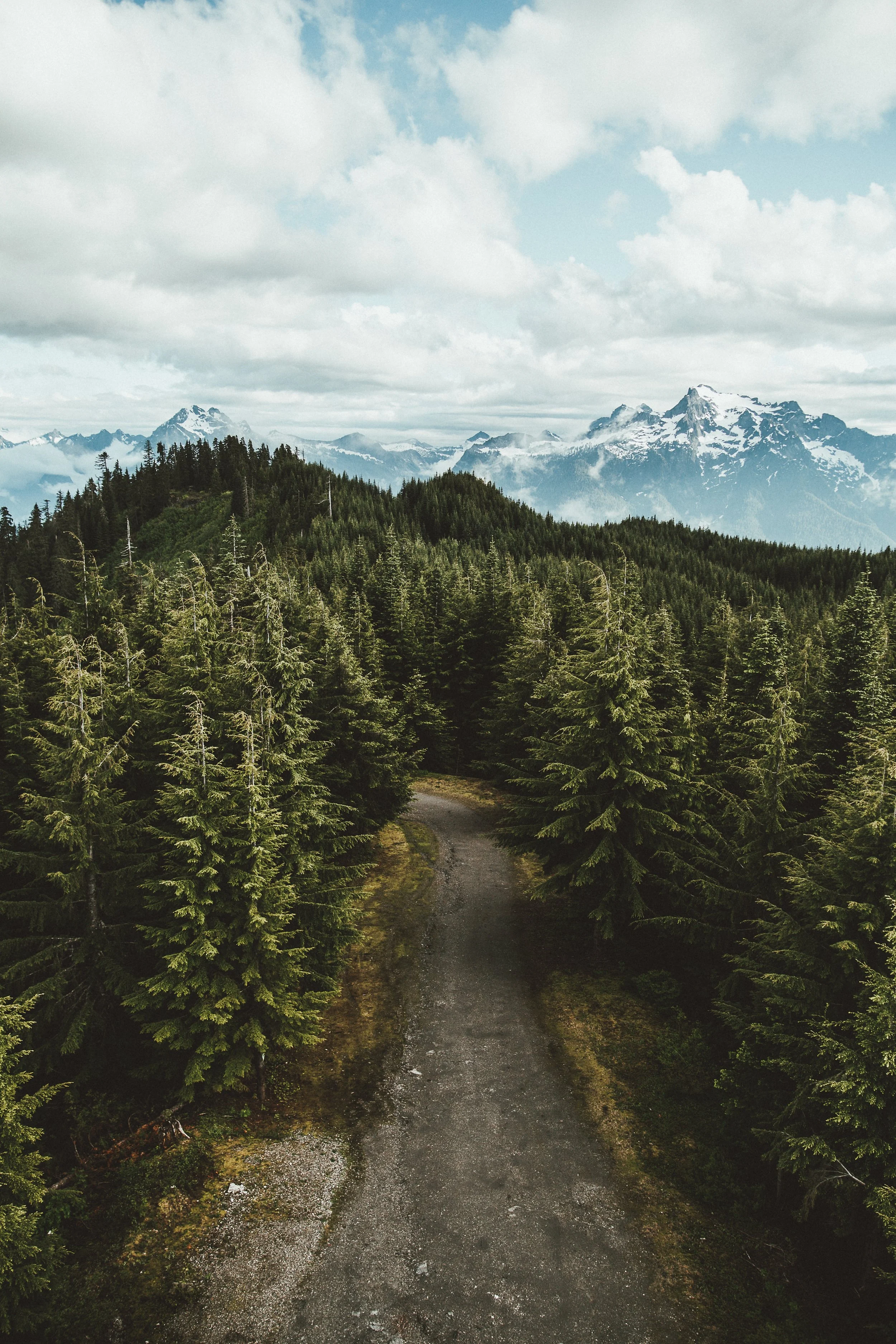 matthew-moisant-304712-unsplash.jpg