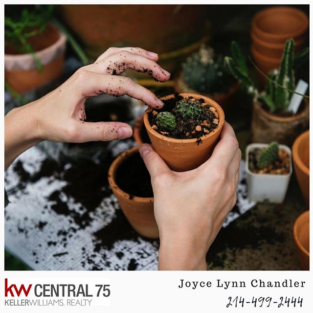 Looking for a place to start your garden? Give us a call! 214-499-2444.
#dallas#dallastx#northdallas#richardson#eastdallas#dfw#lakewood#lakewooddallas#whiterock#whiterocklake#dallastexas#dallasrealestate #helloaugust