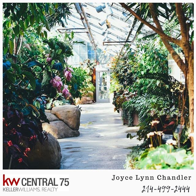 Check out this beautiful greenhouse! Oh my gosh- what a dream! Have you ever wanted your own greenhouse?
#dallas#dallastx#northdallas#richardson#eastdallas#dfw#lakewood#lakewooddallas#whiterock#whiterocklake#dallastexas#dallasrealestate