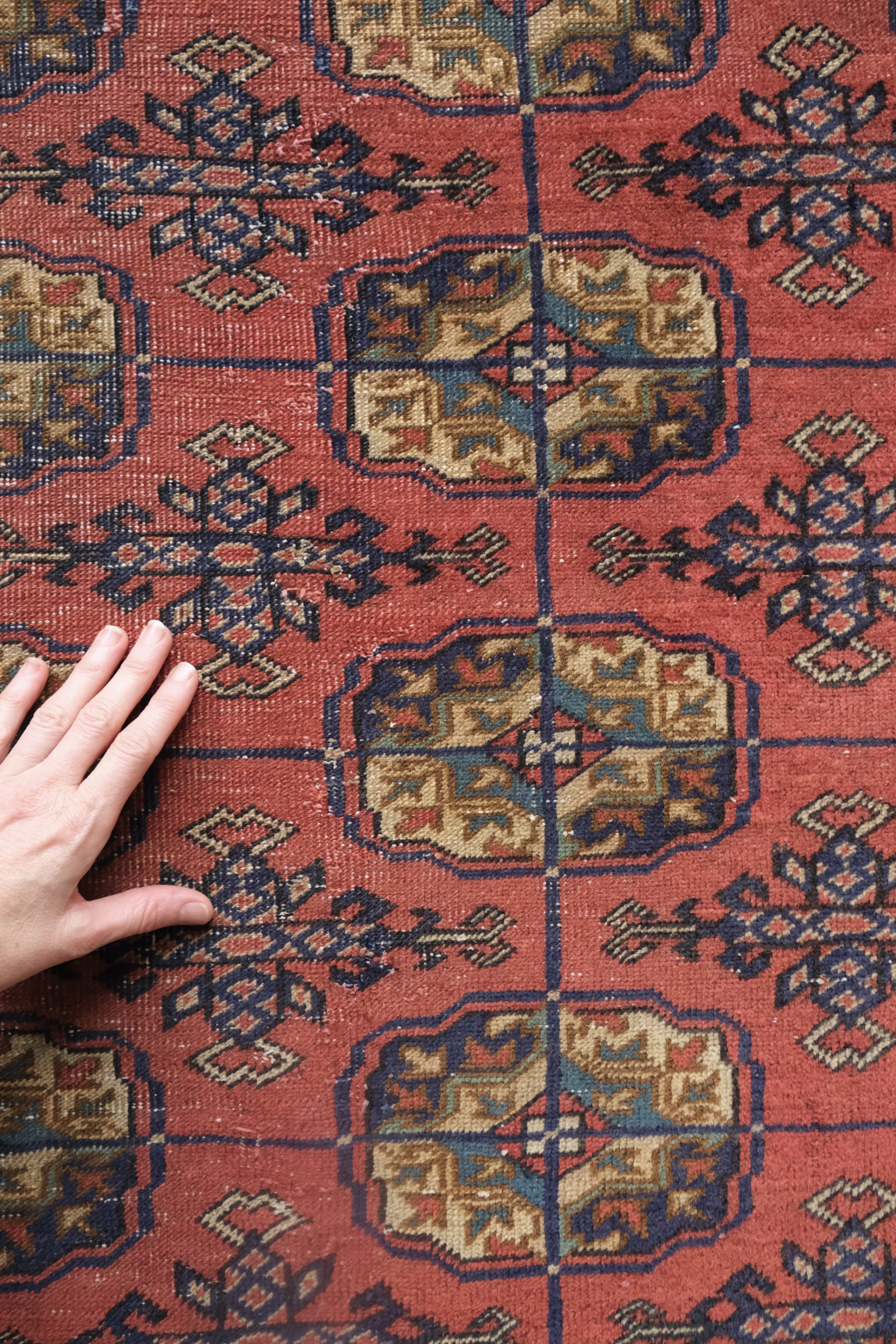 dining room rug