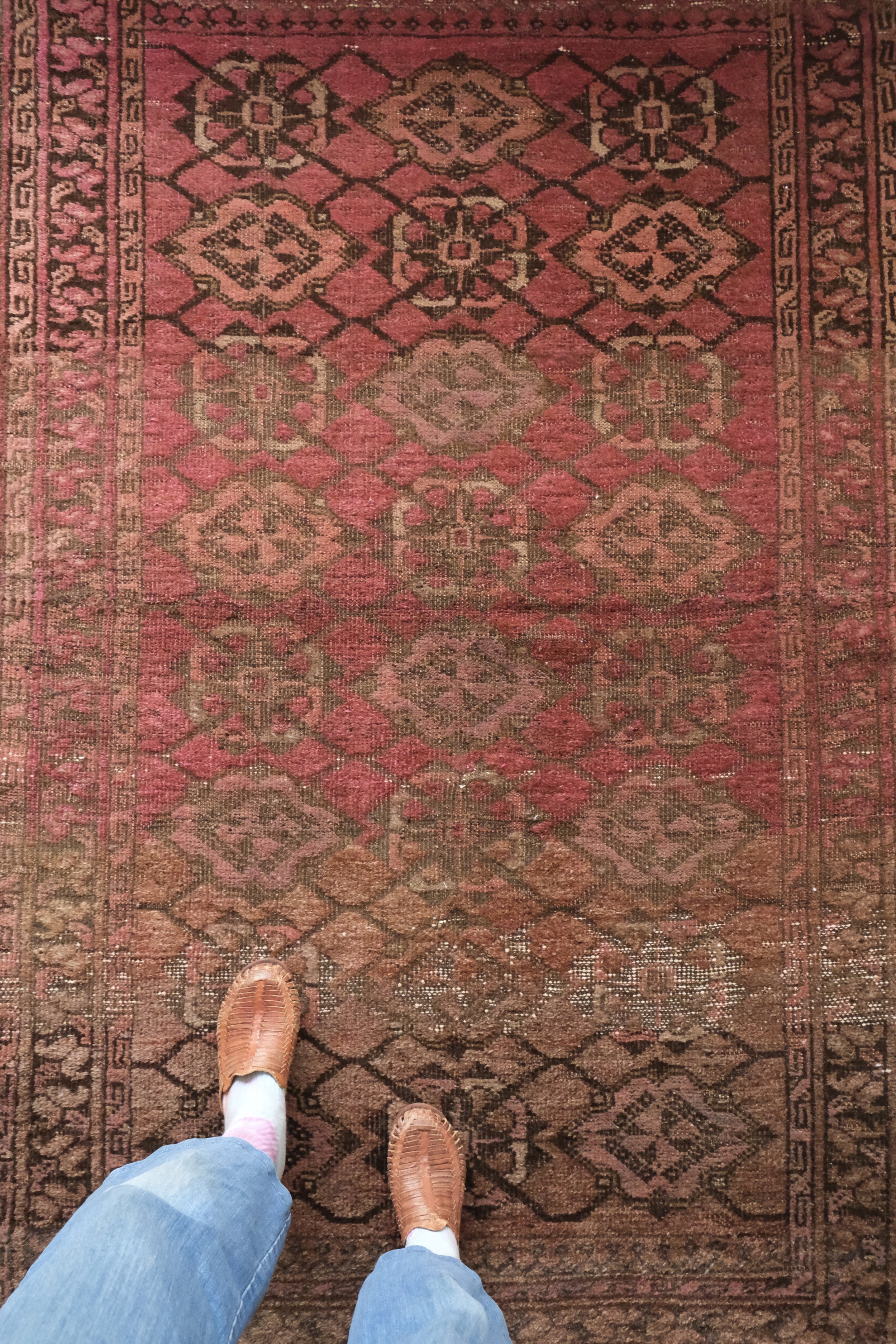 DSCF5370.jpeg