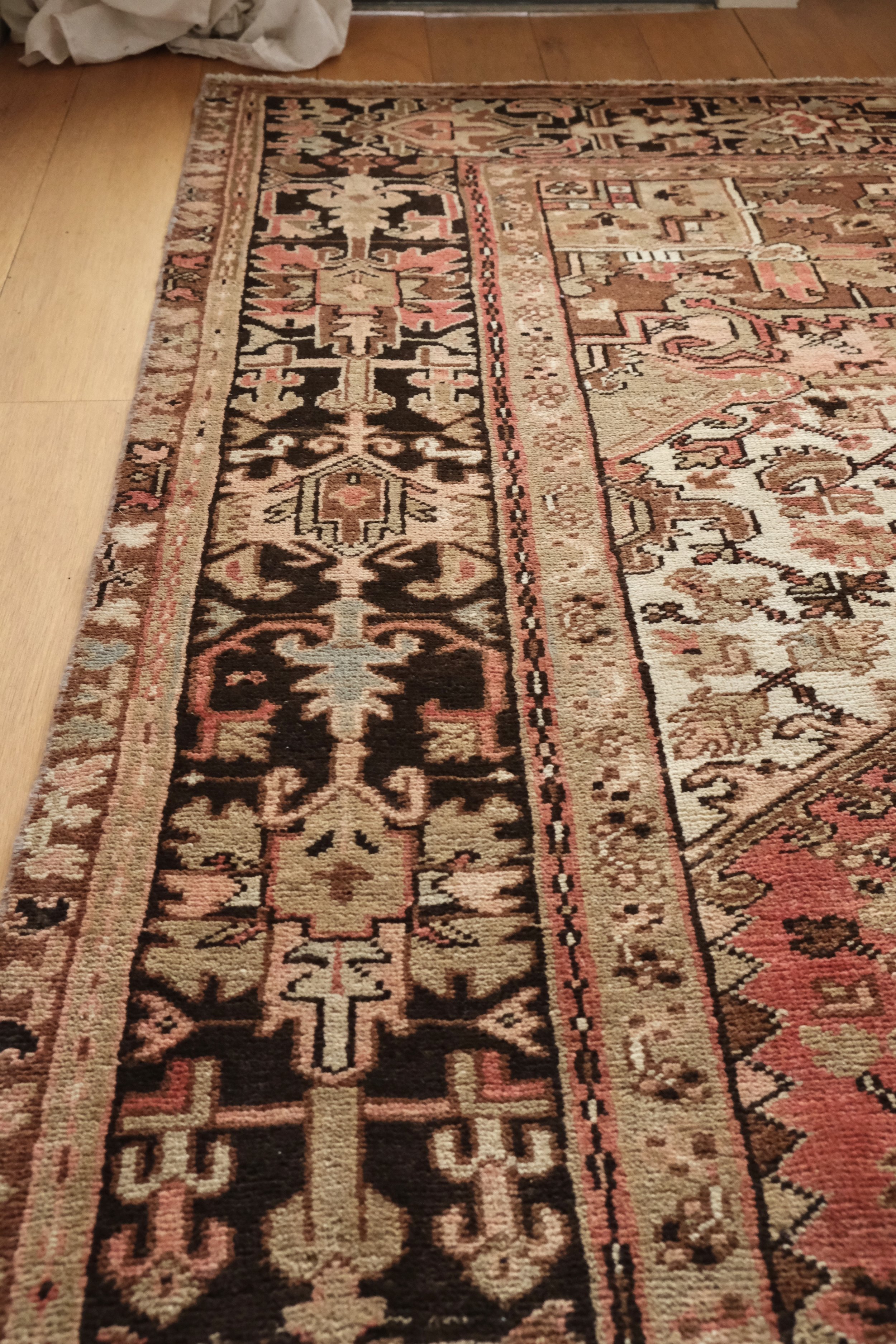 shows the darker toned border of the rug