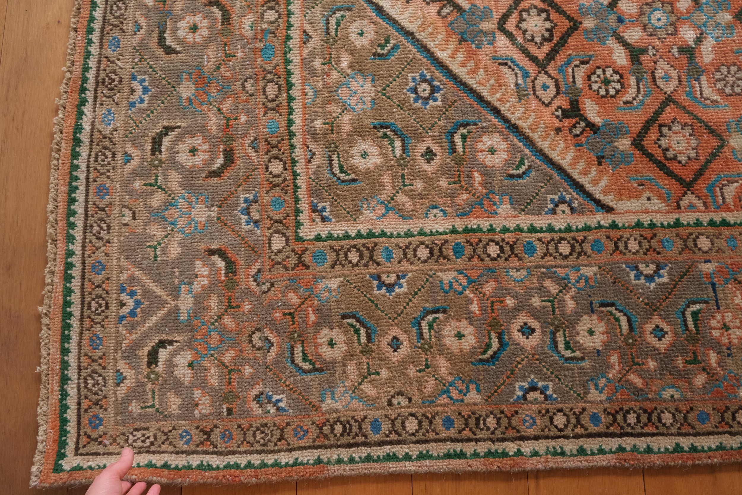 the border of the rug