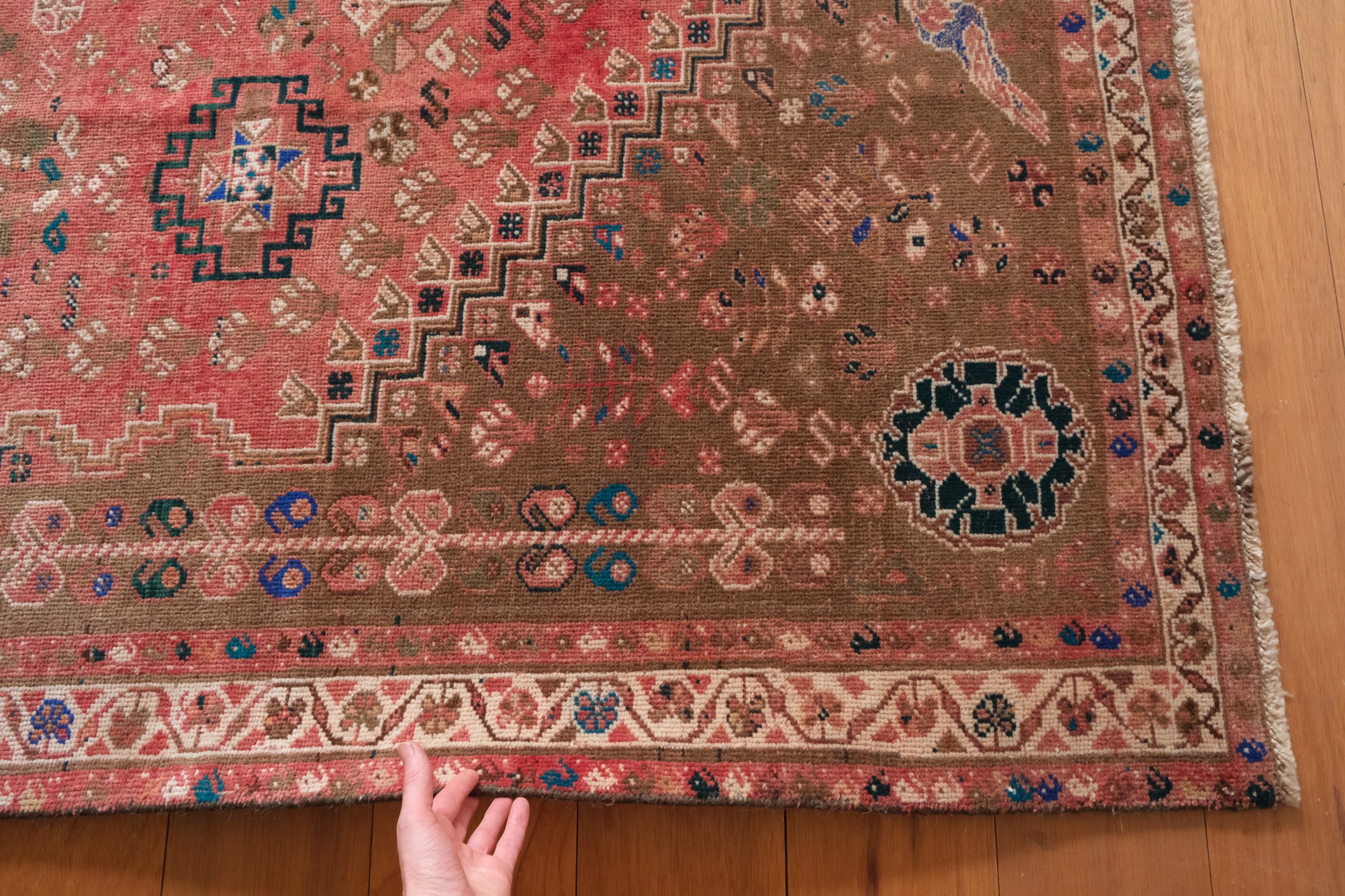 the border of the rug