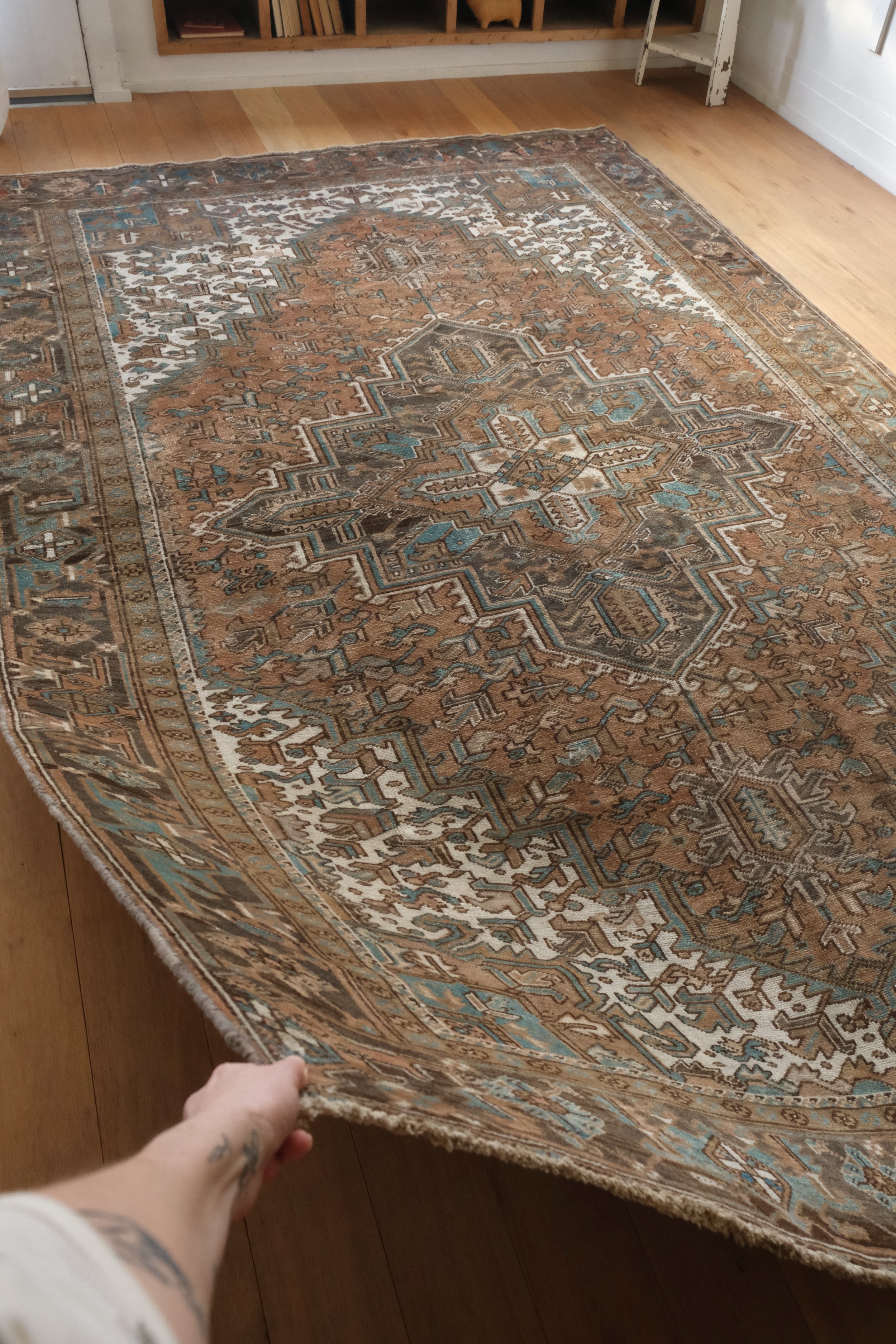 the drape of the rug