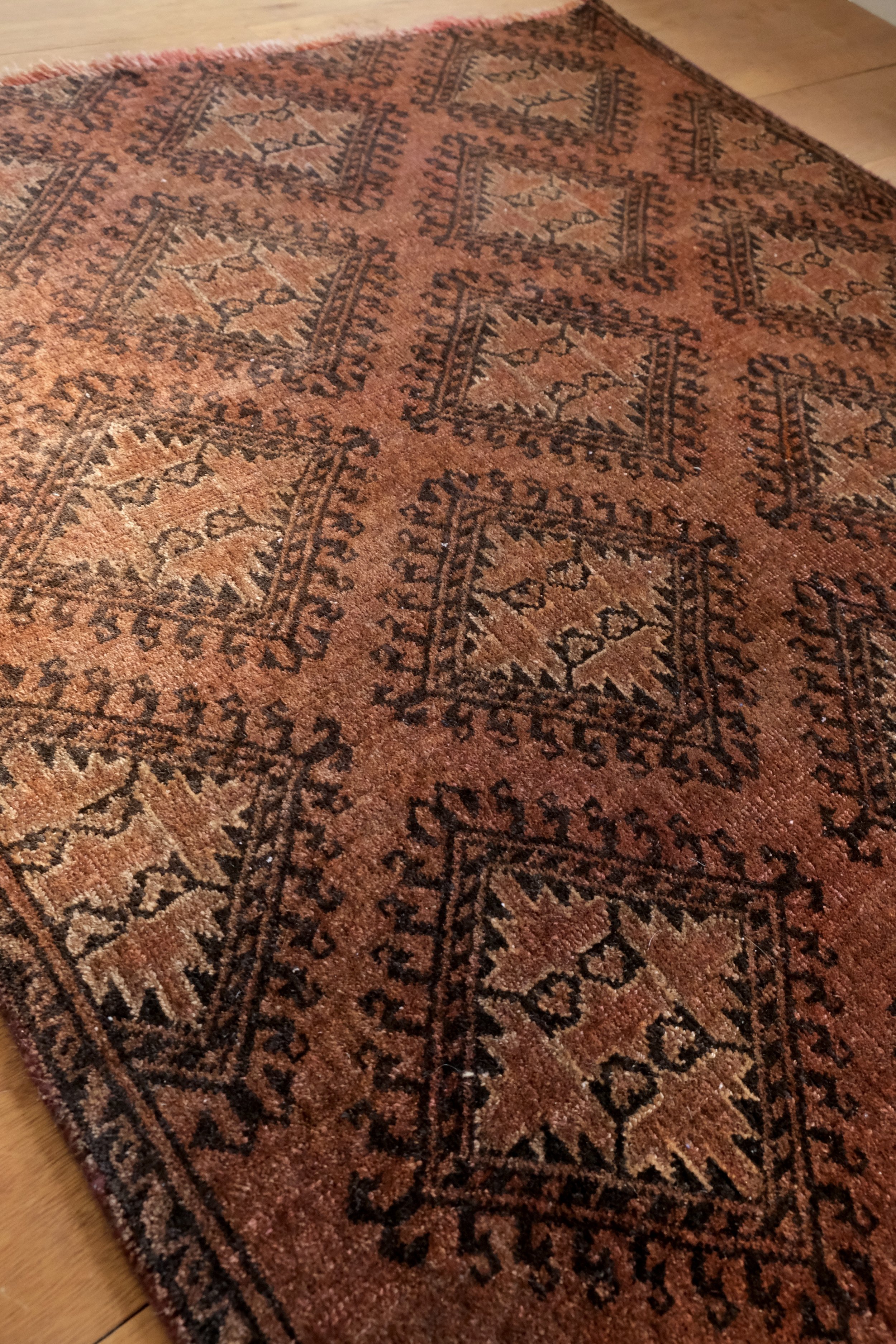a view of the velvety pile