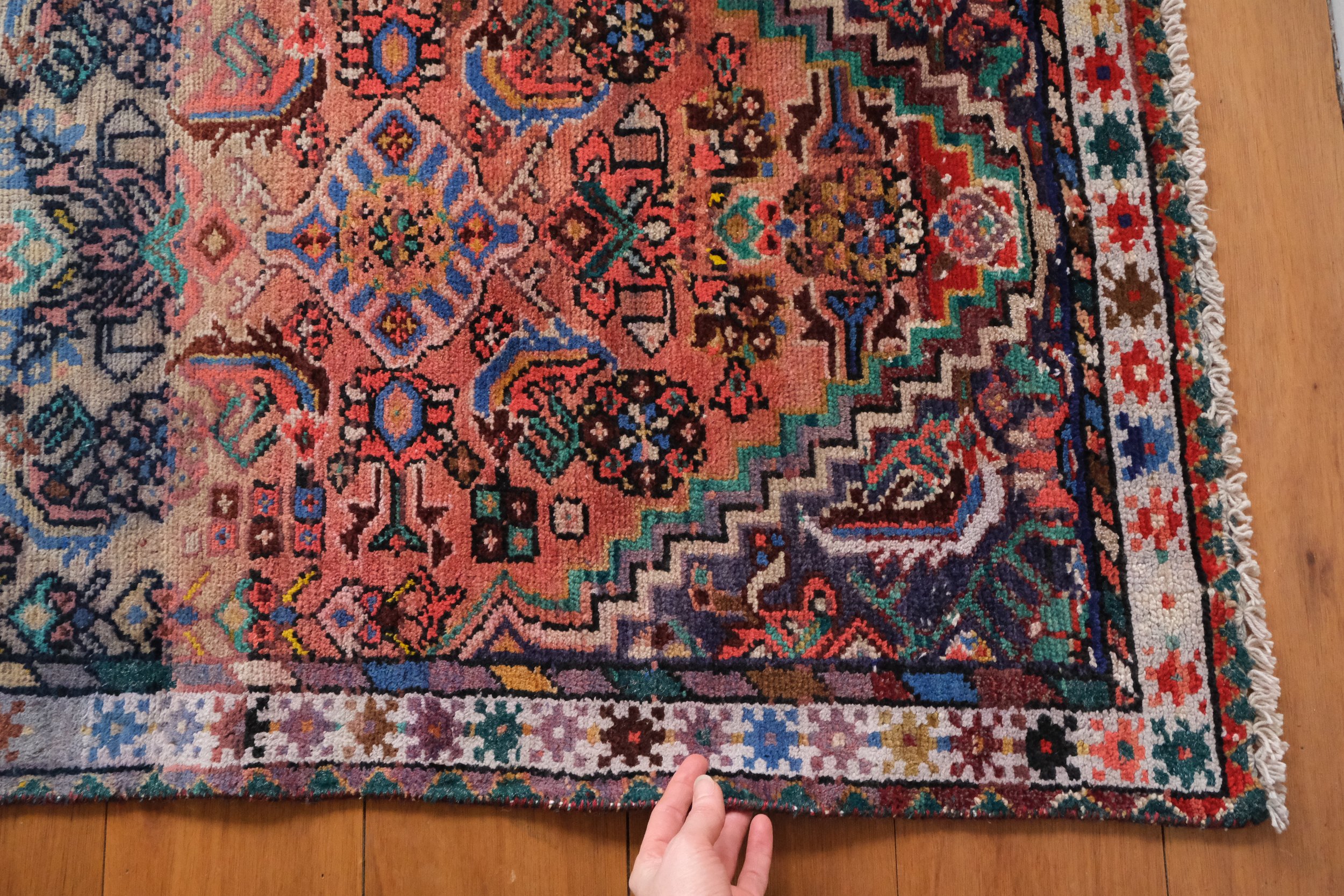 the border of the rug