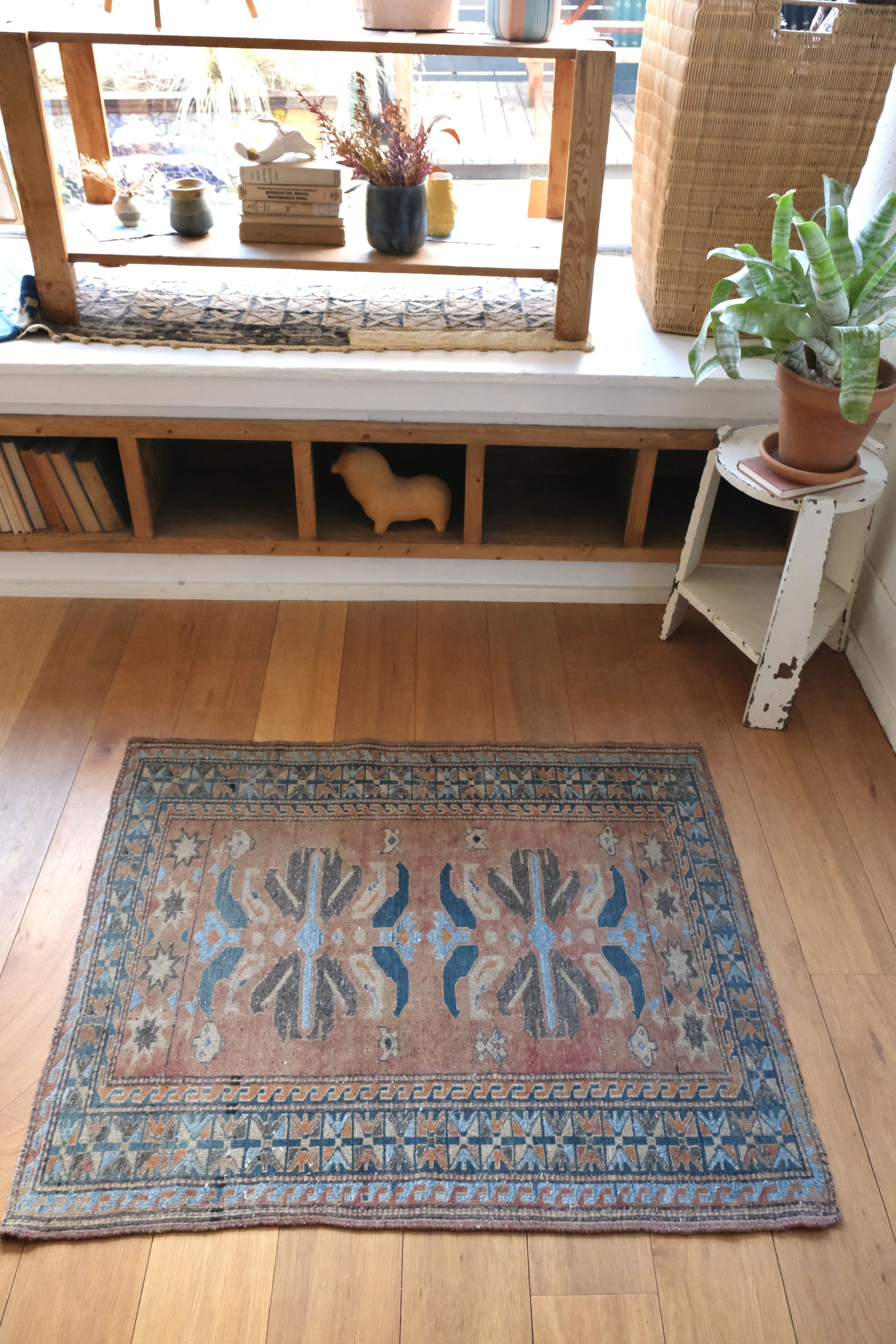 rug styled with plants