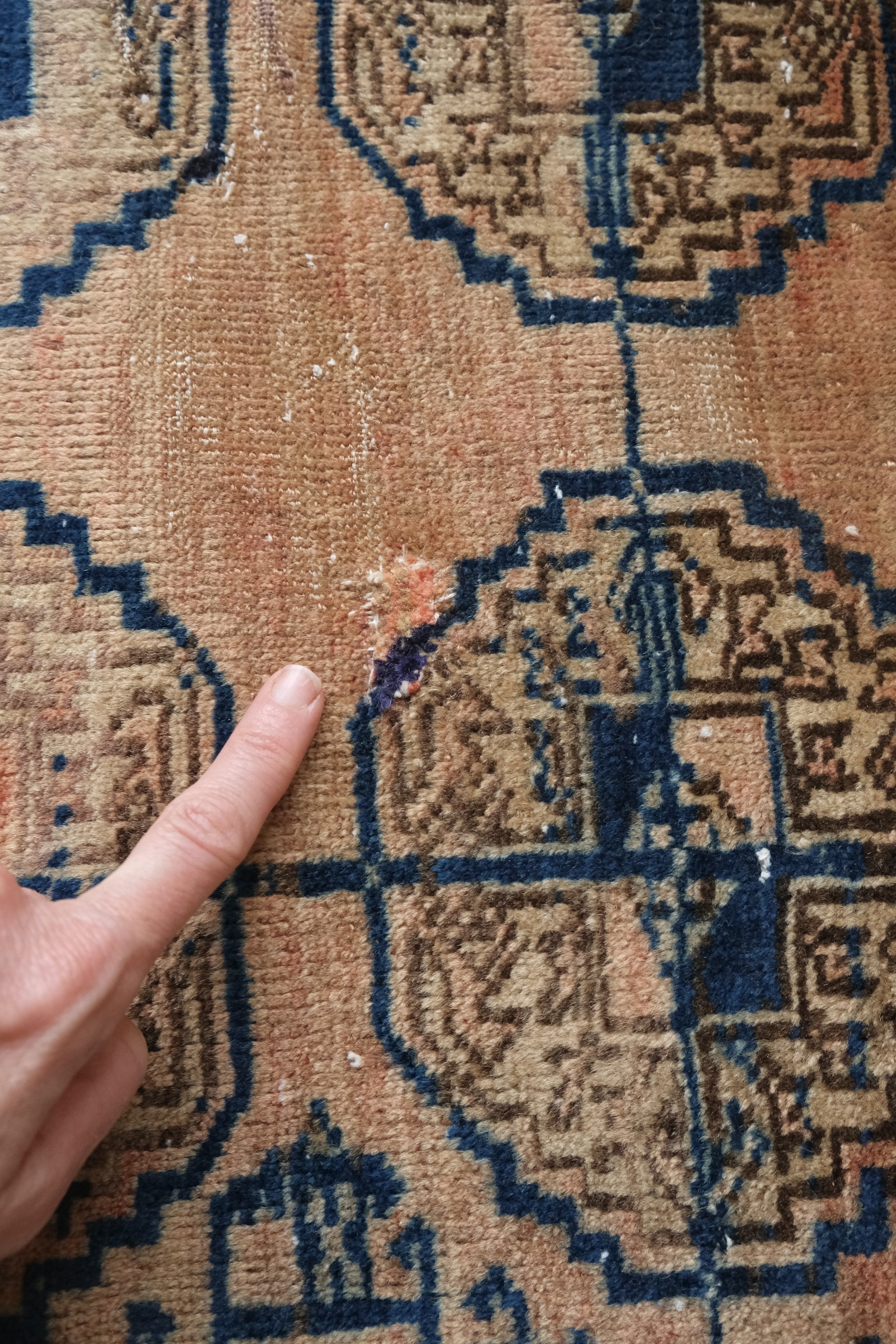 turkoman rug