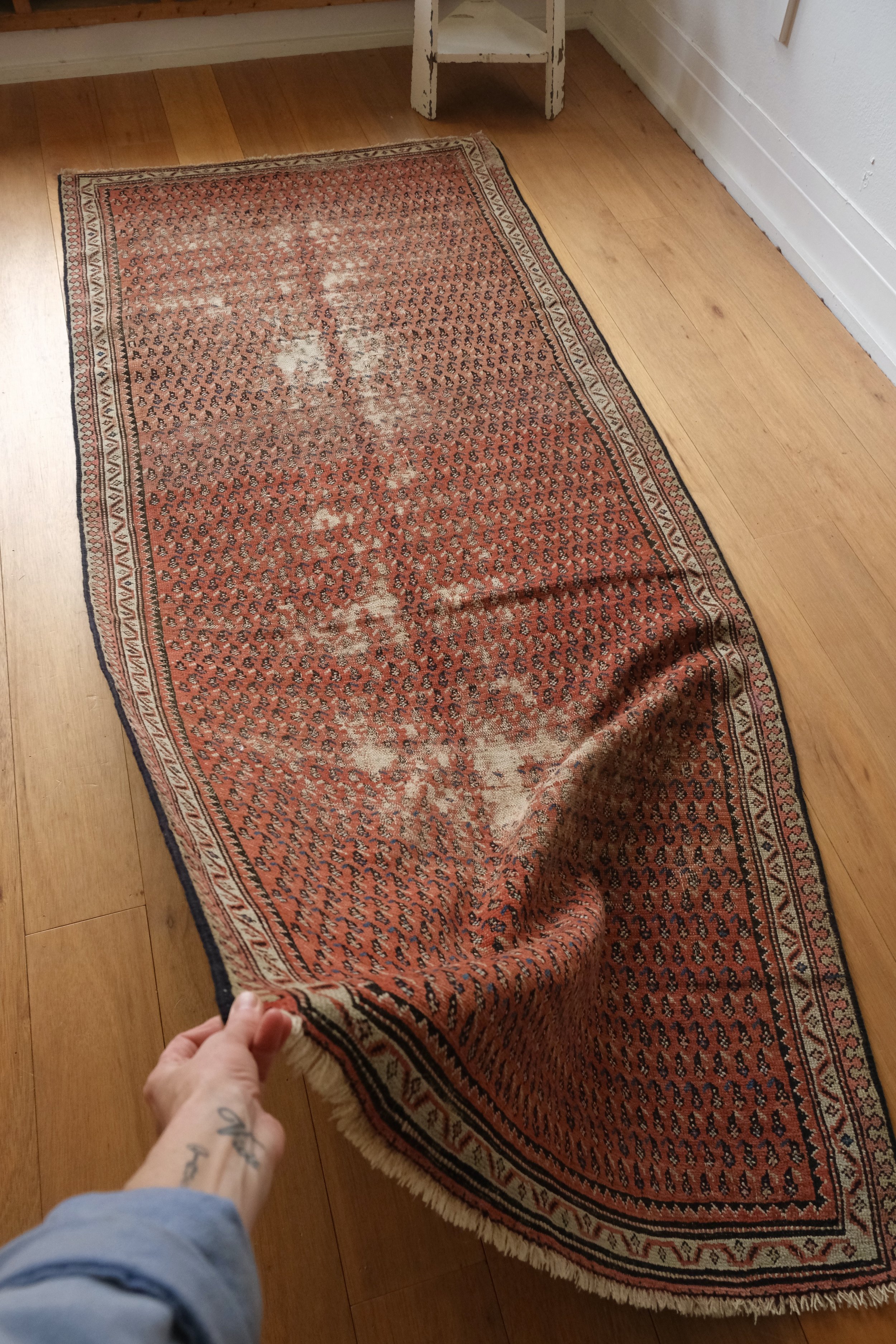 designer rugs