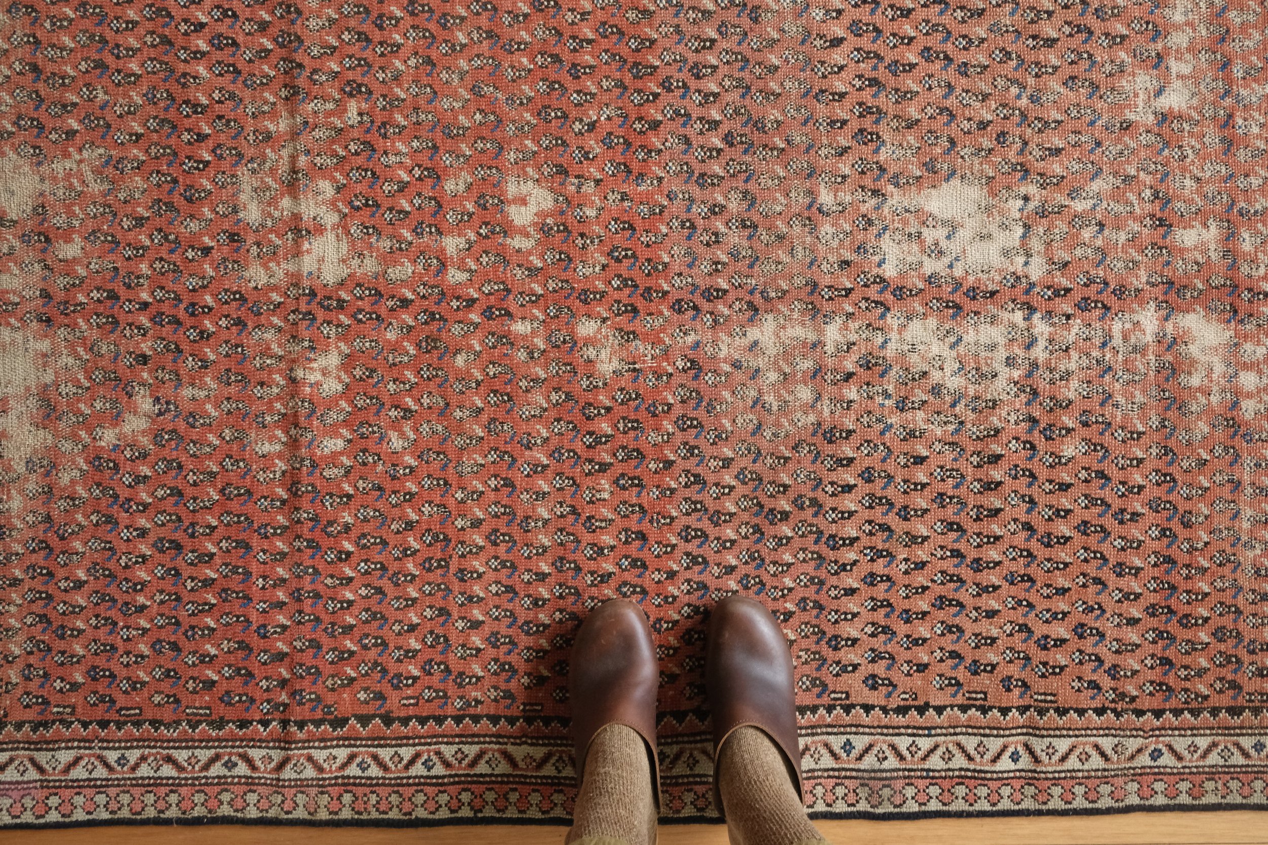 antique persian rugs