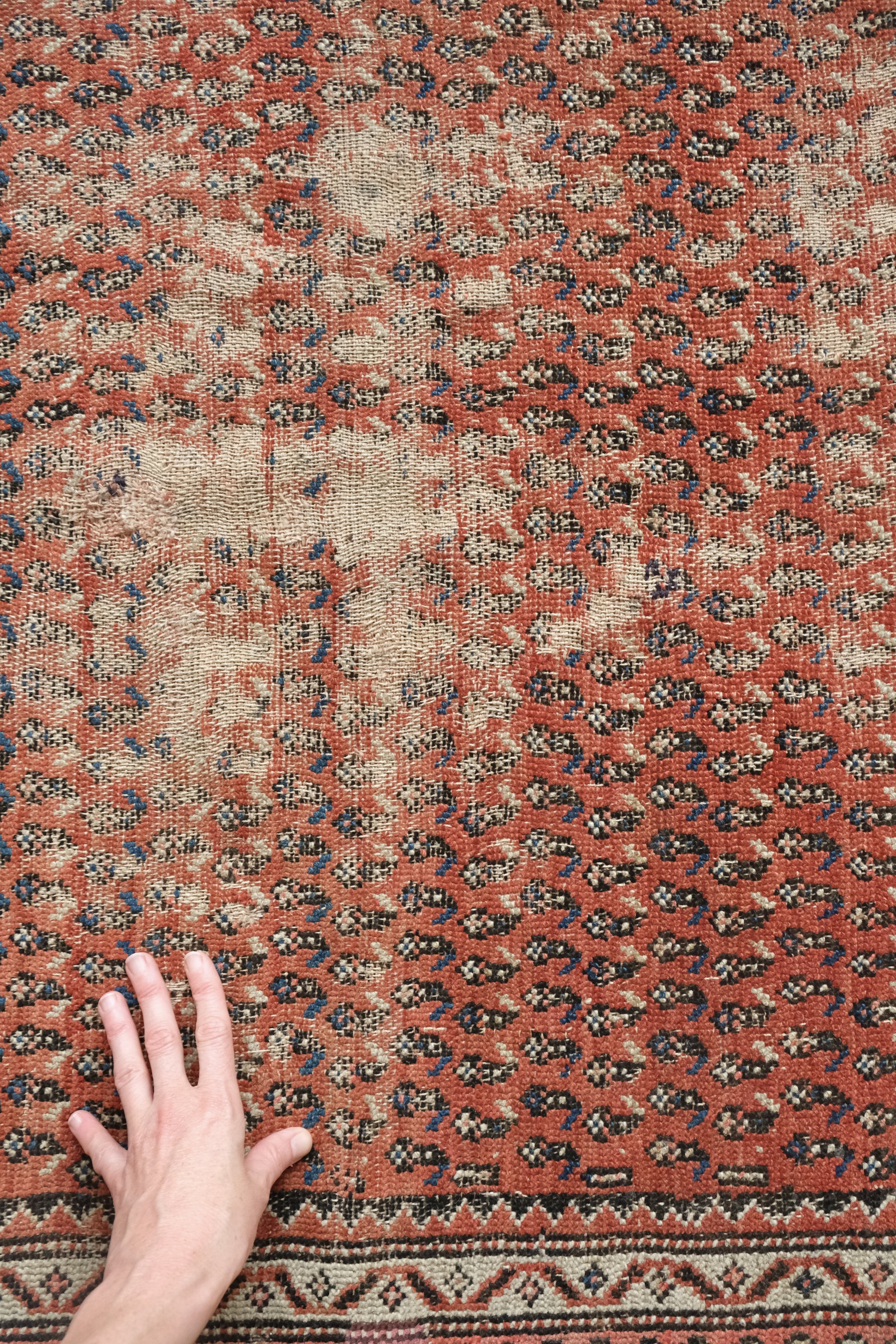 paisley rug