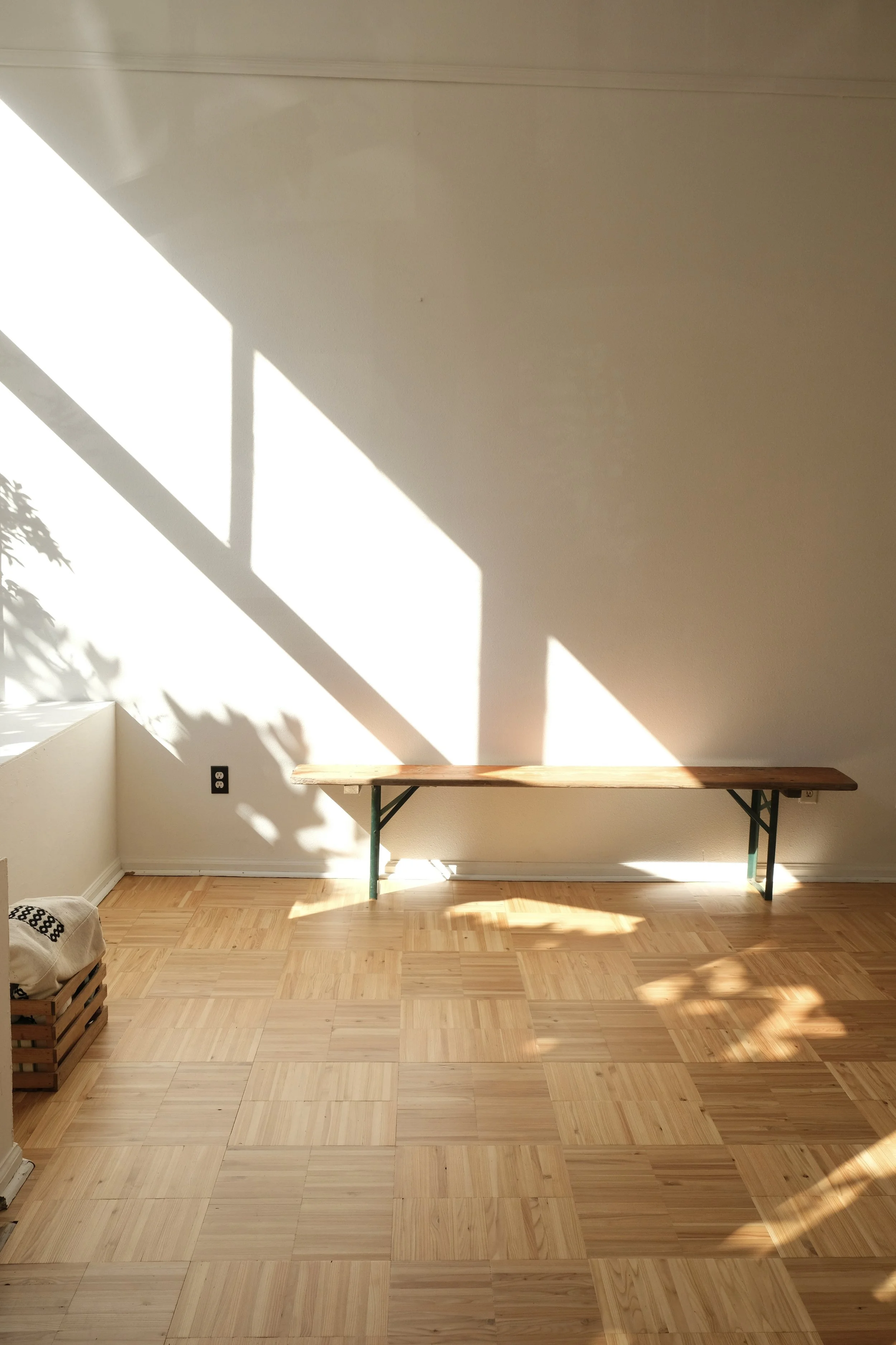 Experimental Vintage x Zena Forest Products  