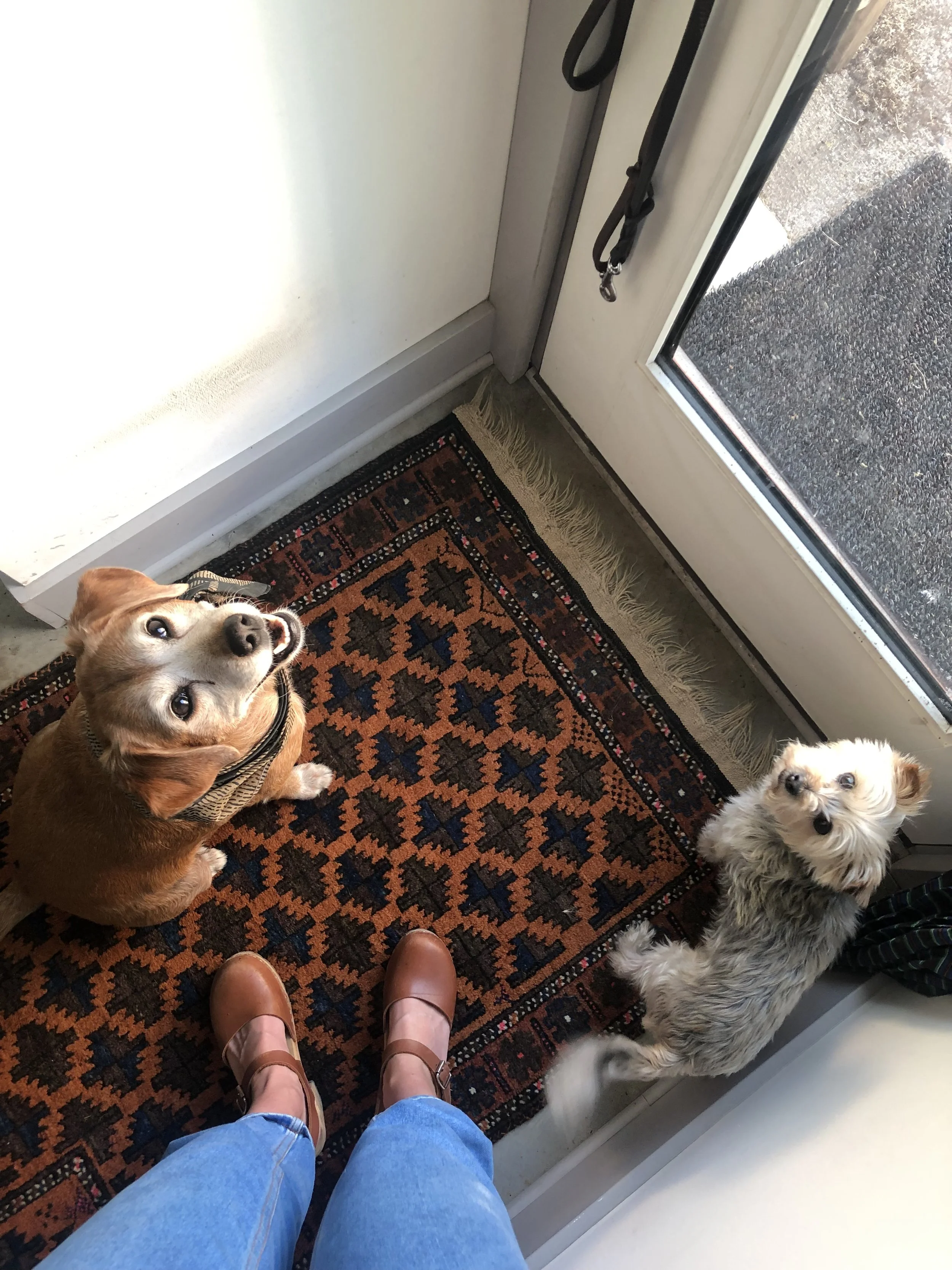 doormat copy.jpg