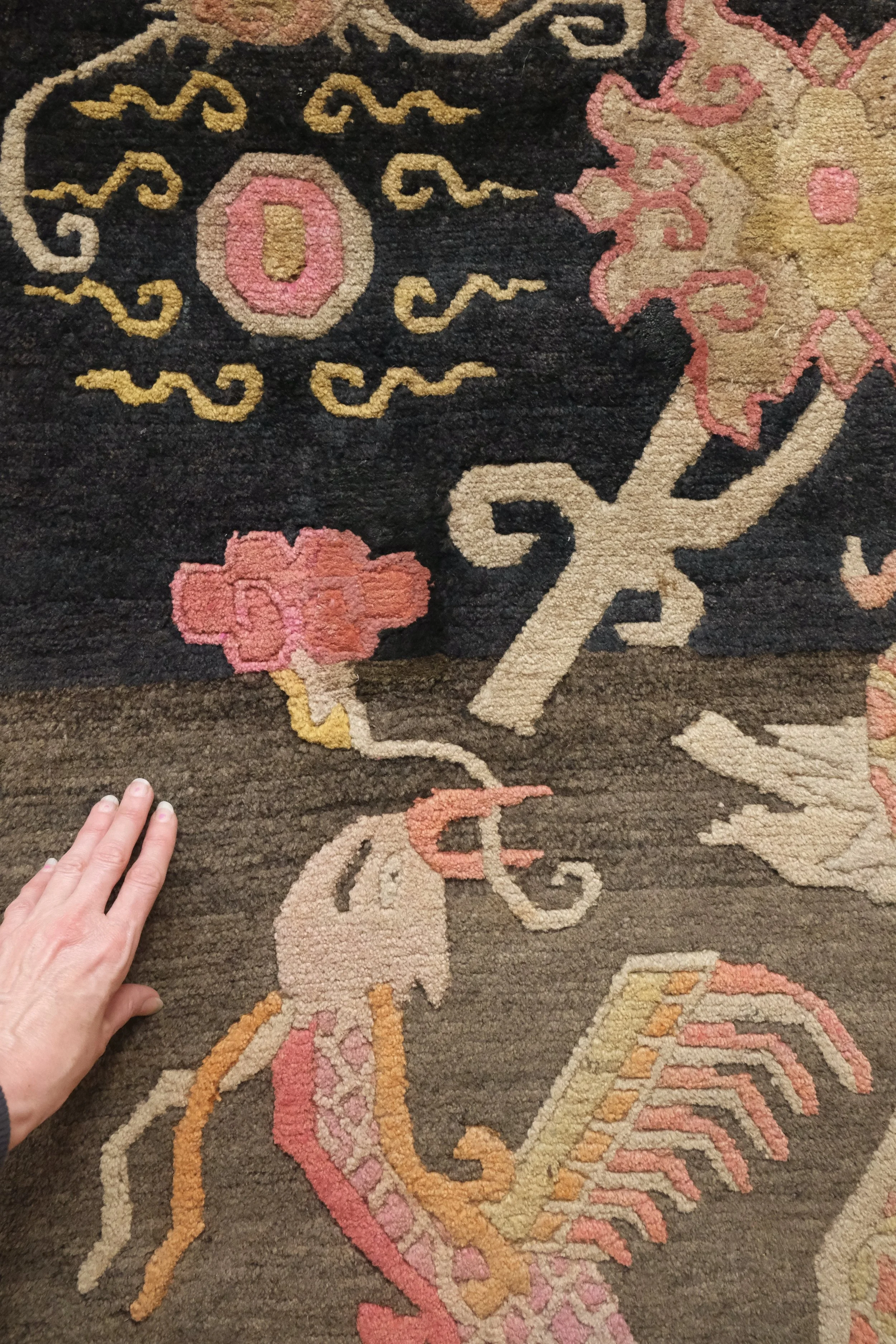 dragon and phoenix rug