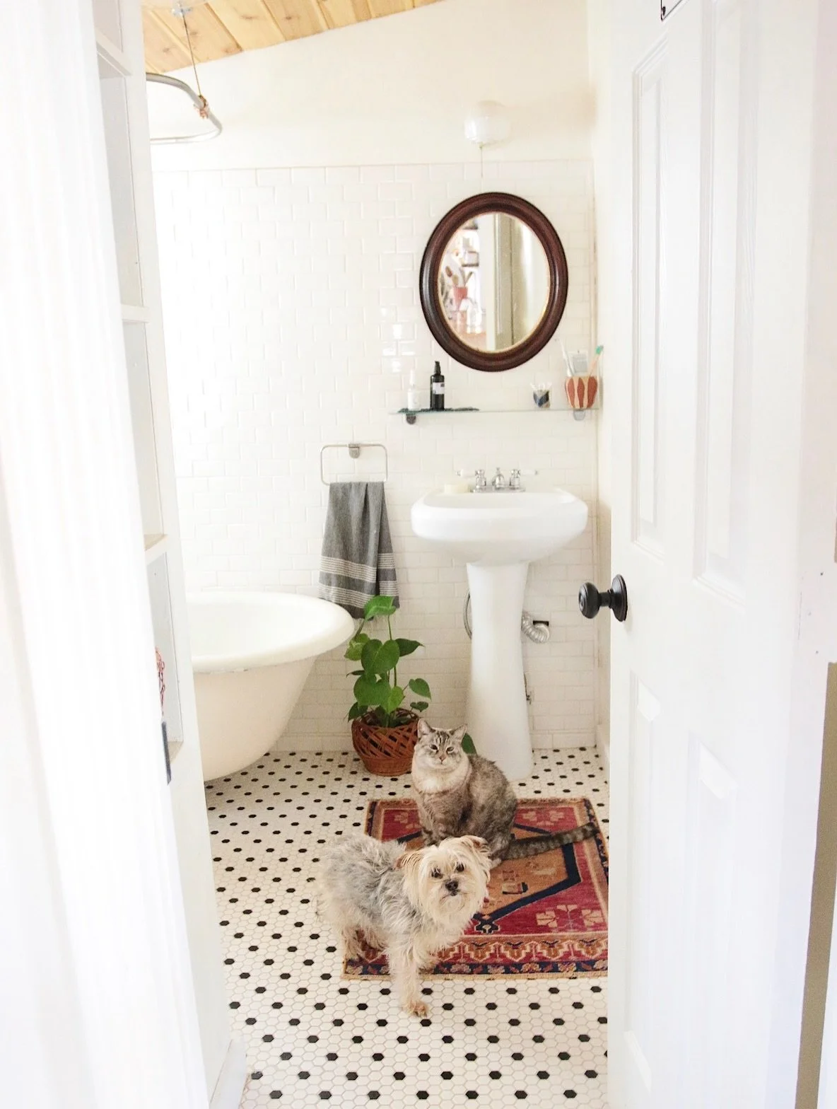 Today is the year anniversary of the passing of my sweet kitty Lola, maybe that&rsquo;s why I felt a nudge to finish with up this journal post over the weekend about why vintage rugs and pets (and kids too) go so well together&hellip;
Read the full p