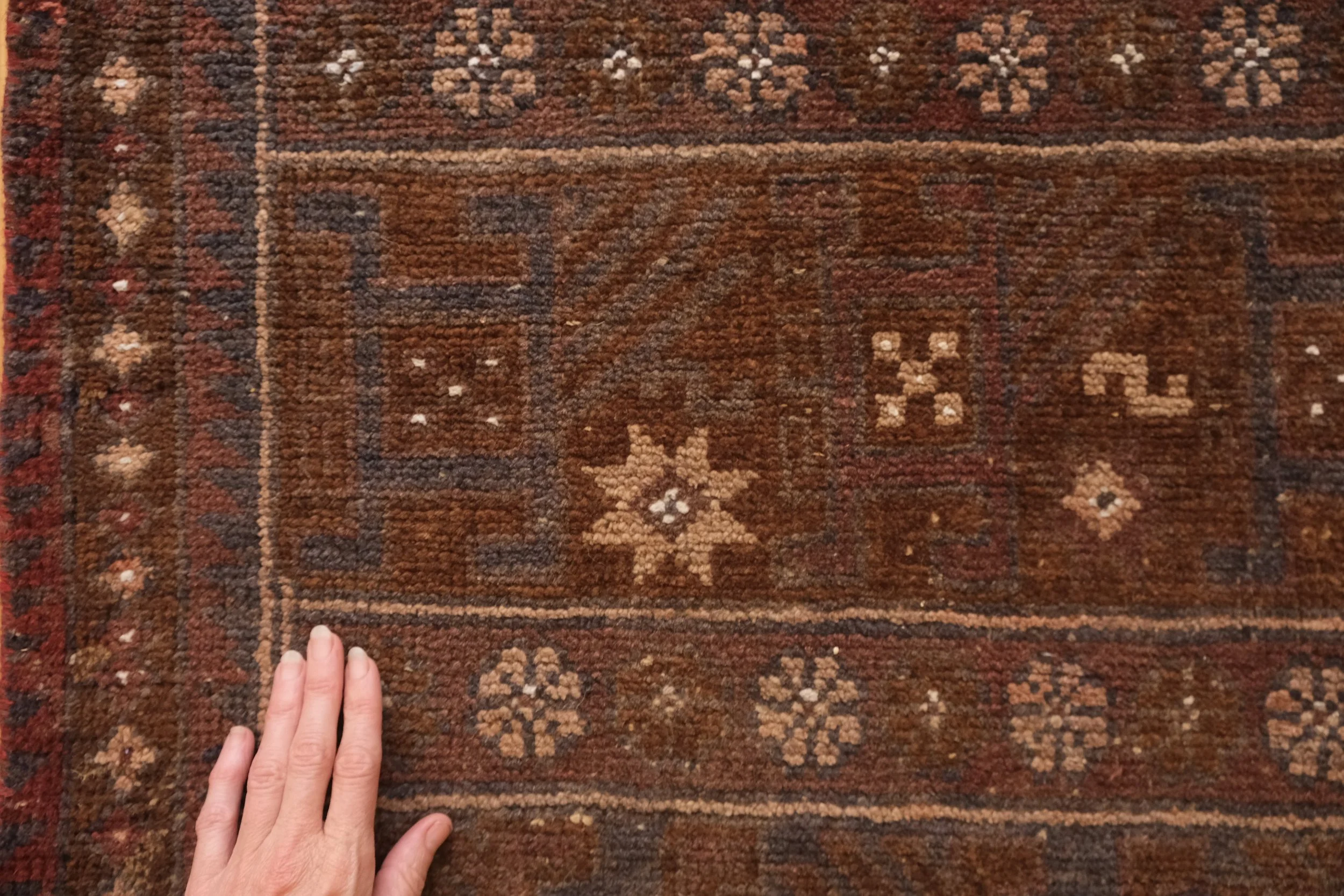 high traffic rugs